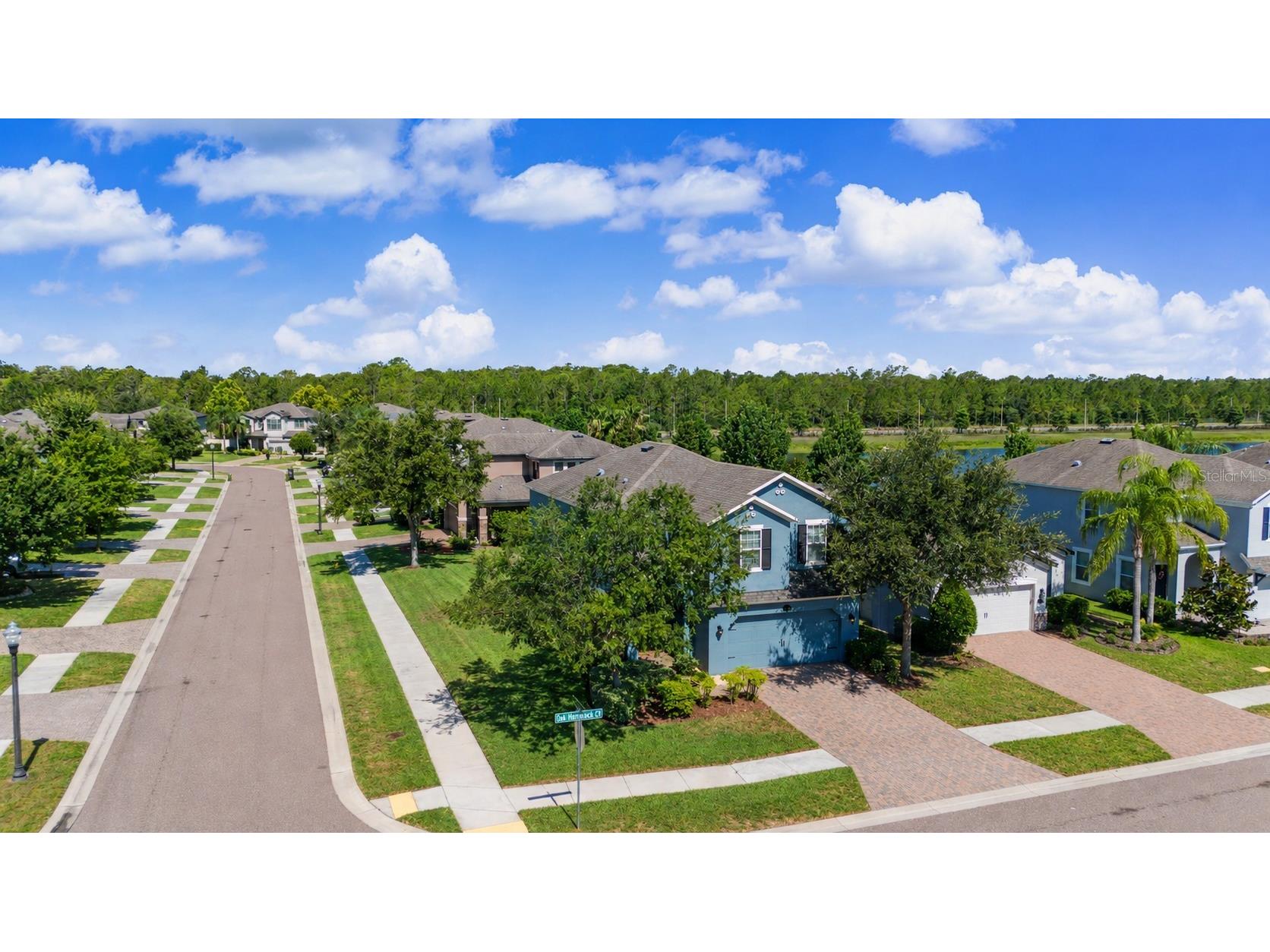 1735 Oak Hammock Court Lutz FL 33558 W7886757 image31