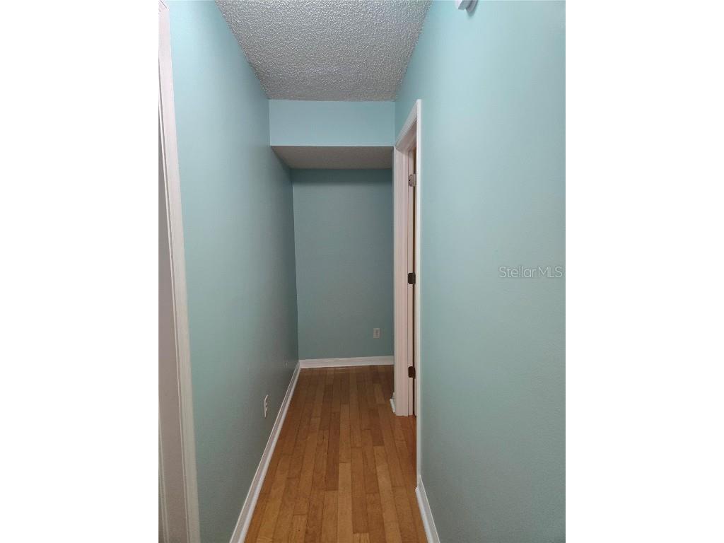 1735 Tall Pine Circle Safety Harbor FL 34695 TB8345391 image19