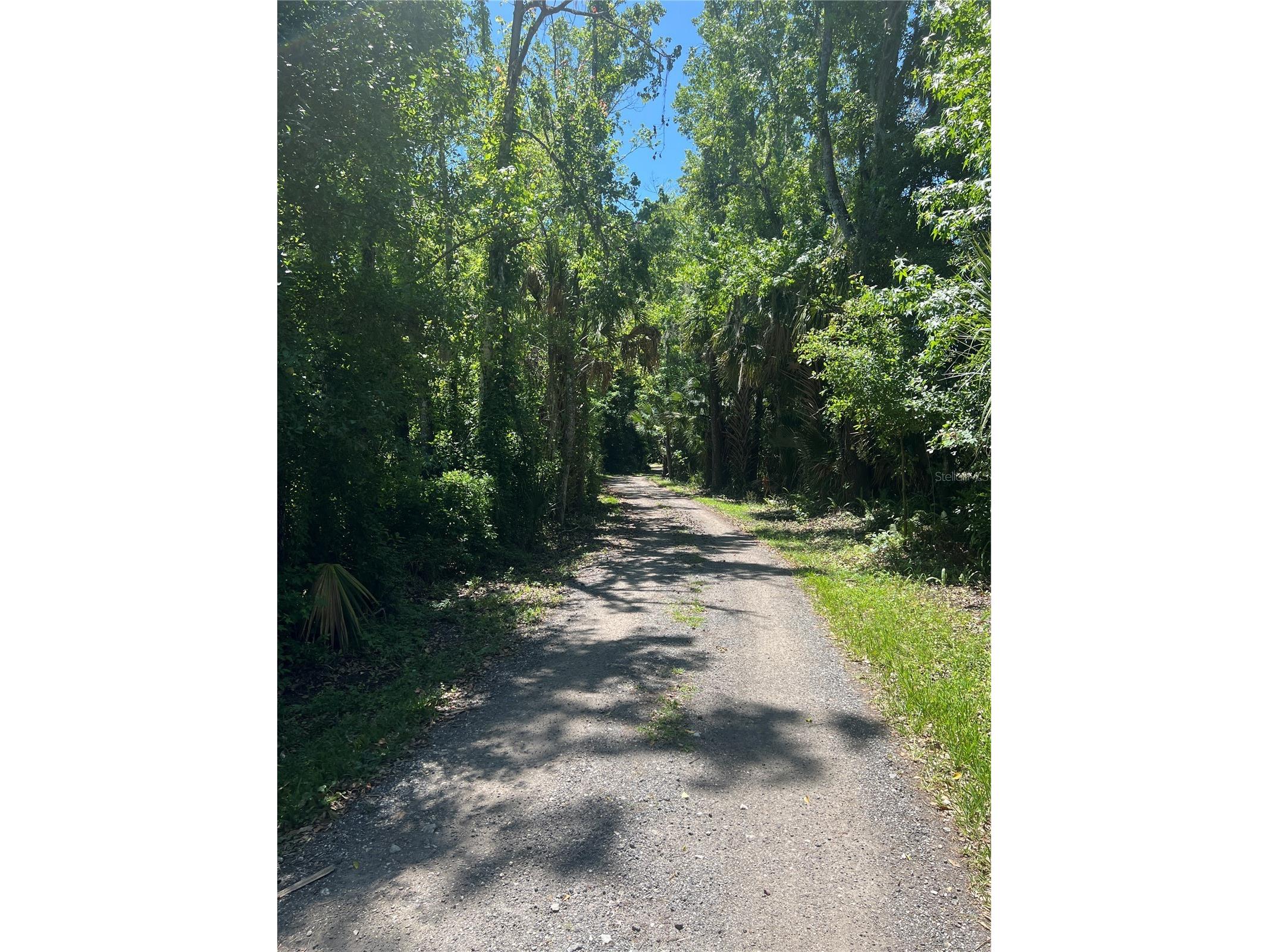 1735 Timocuan Way Longwood FL 32750 S5150078 image17