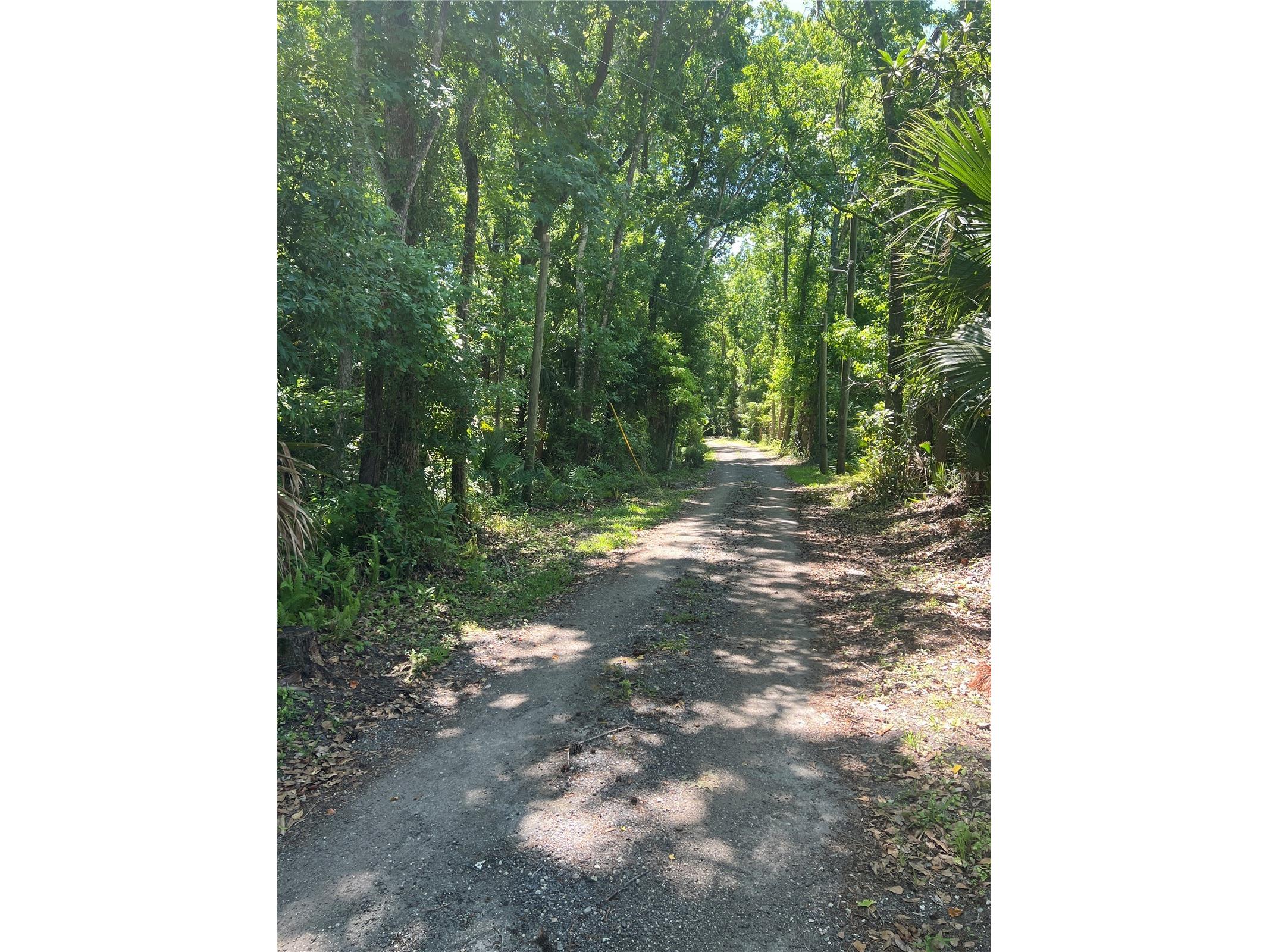 1735 Timocuan Way Longwood FL 32750 S5150078 image18