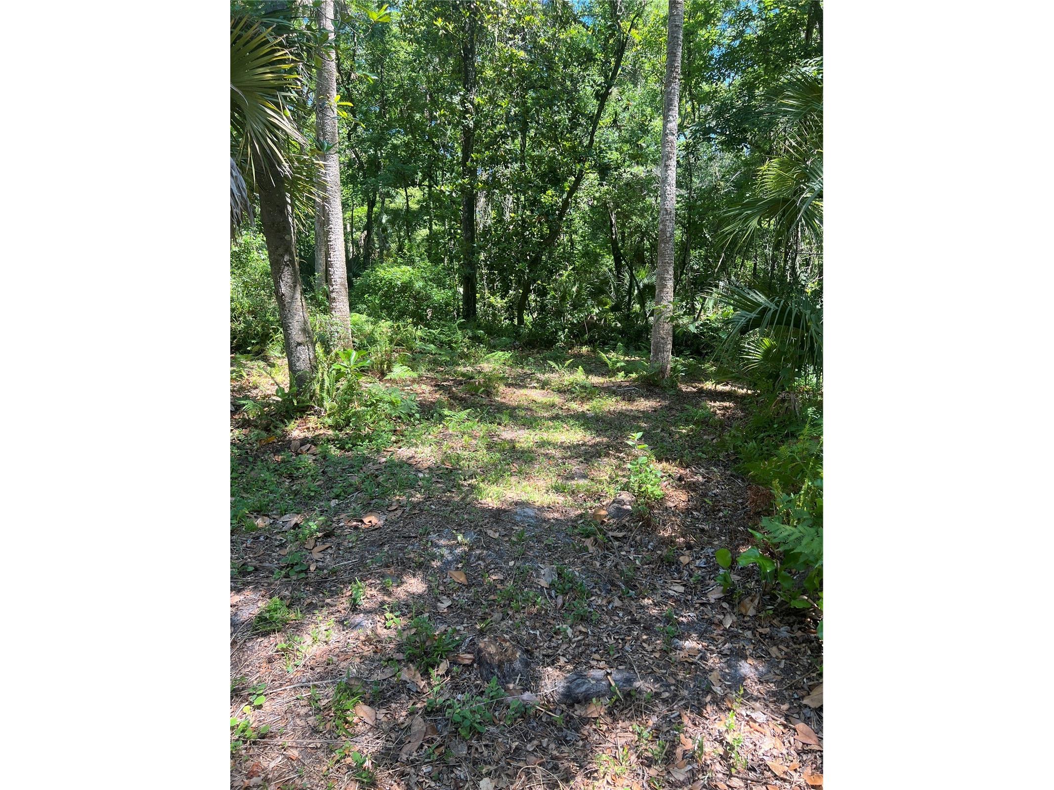 1735 Timocuan Way Longwood FL 32750 S5150078 image19