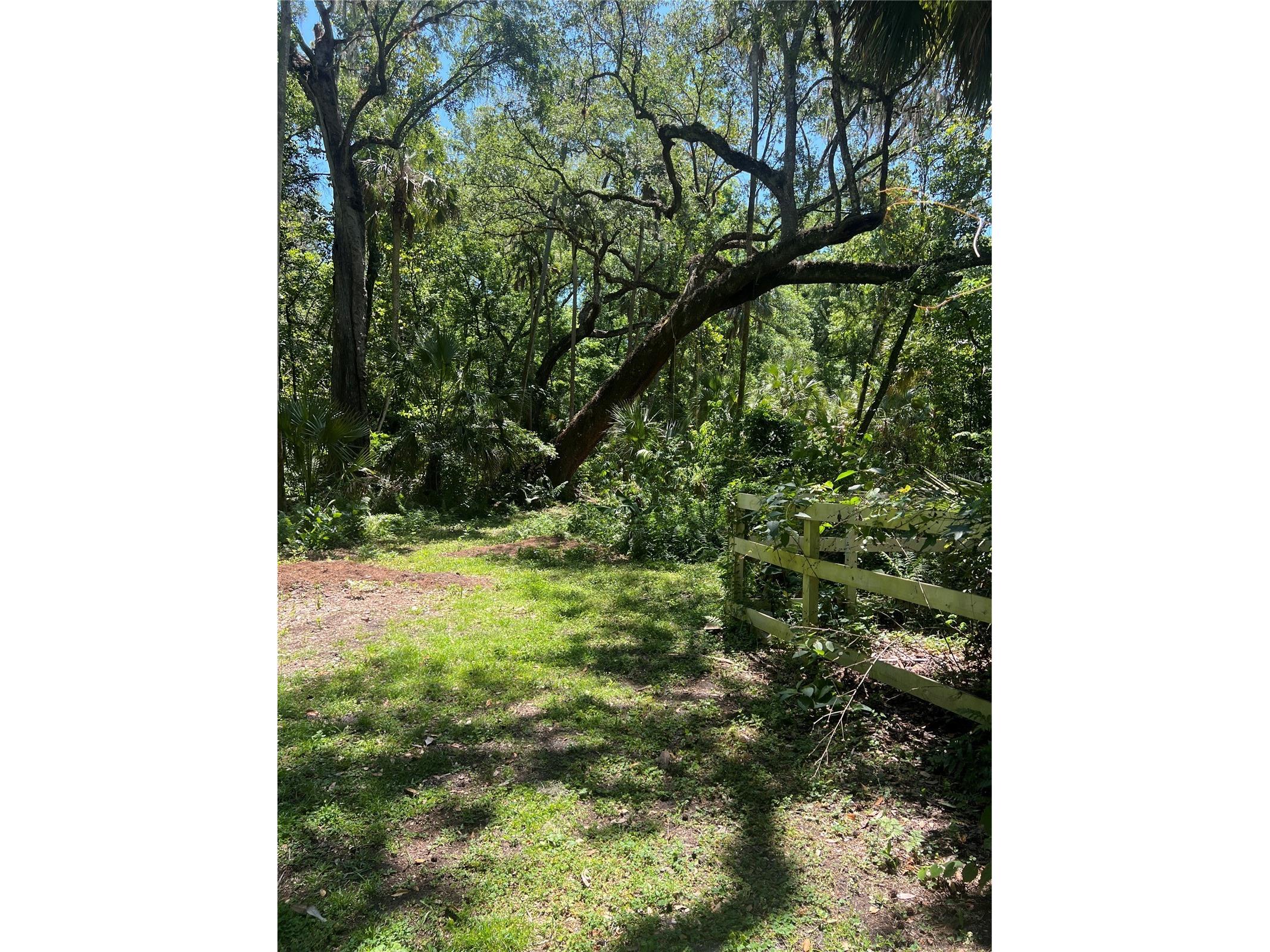 1735 Timocuan Way Longwood FL 32750 S5150078 image20