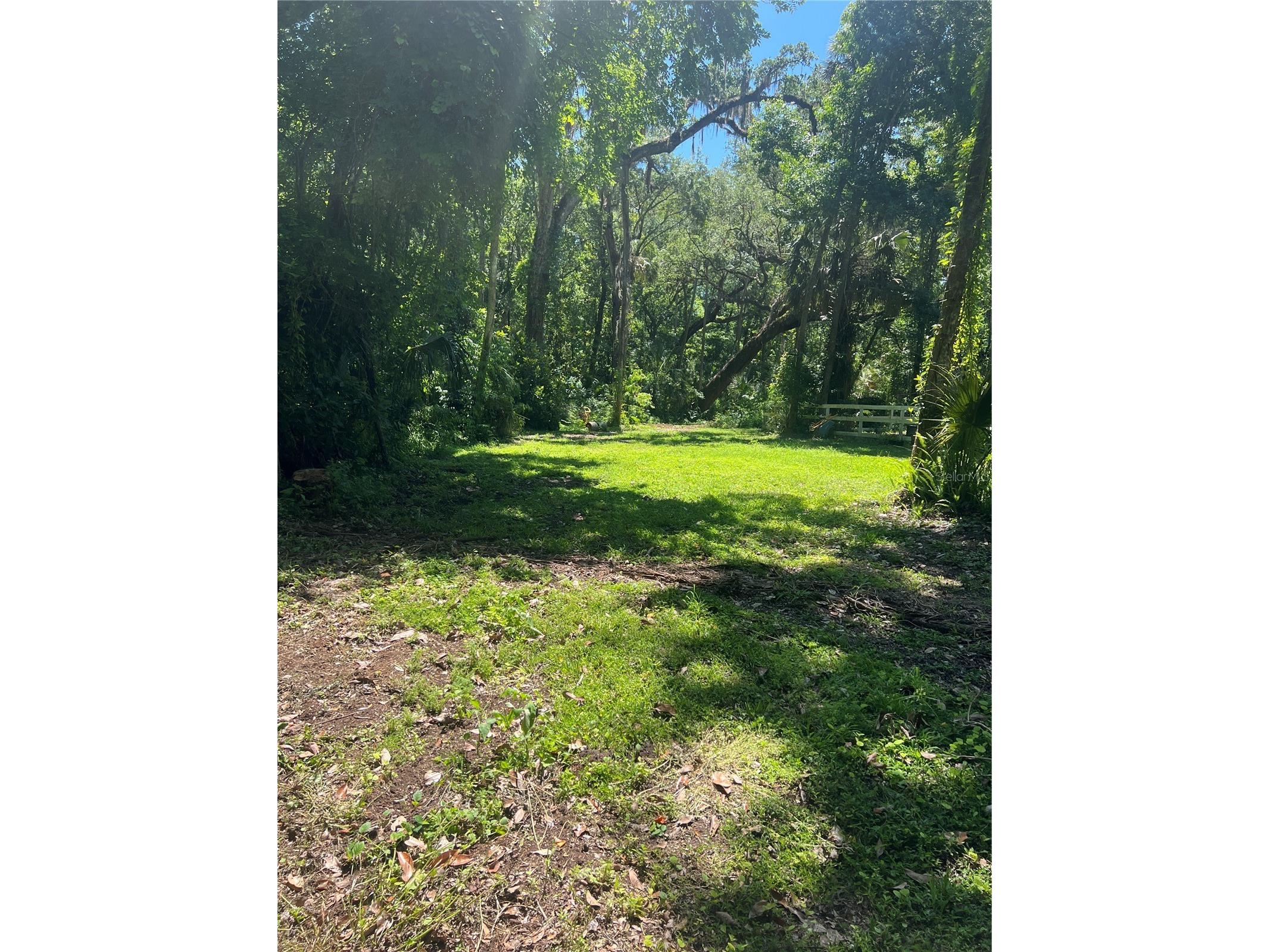 1735 Timocuan Way Longwood FL 32750 S5150078 image21