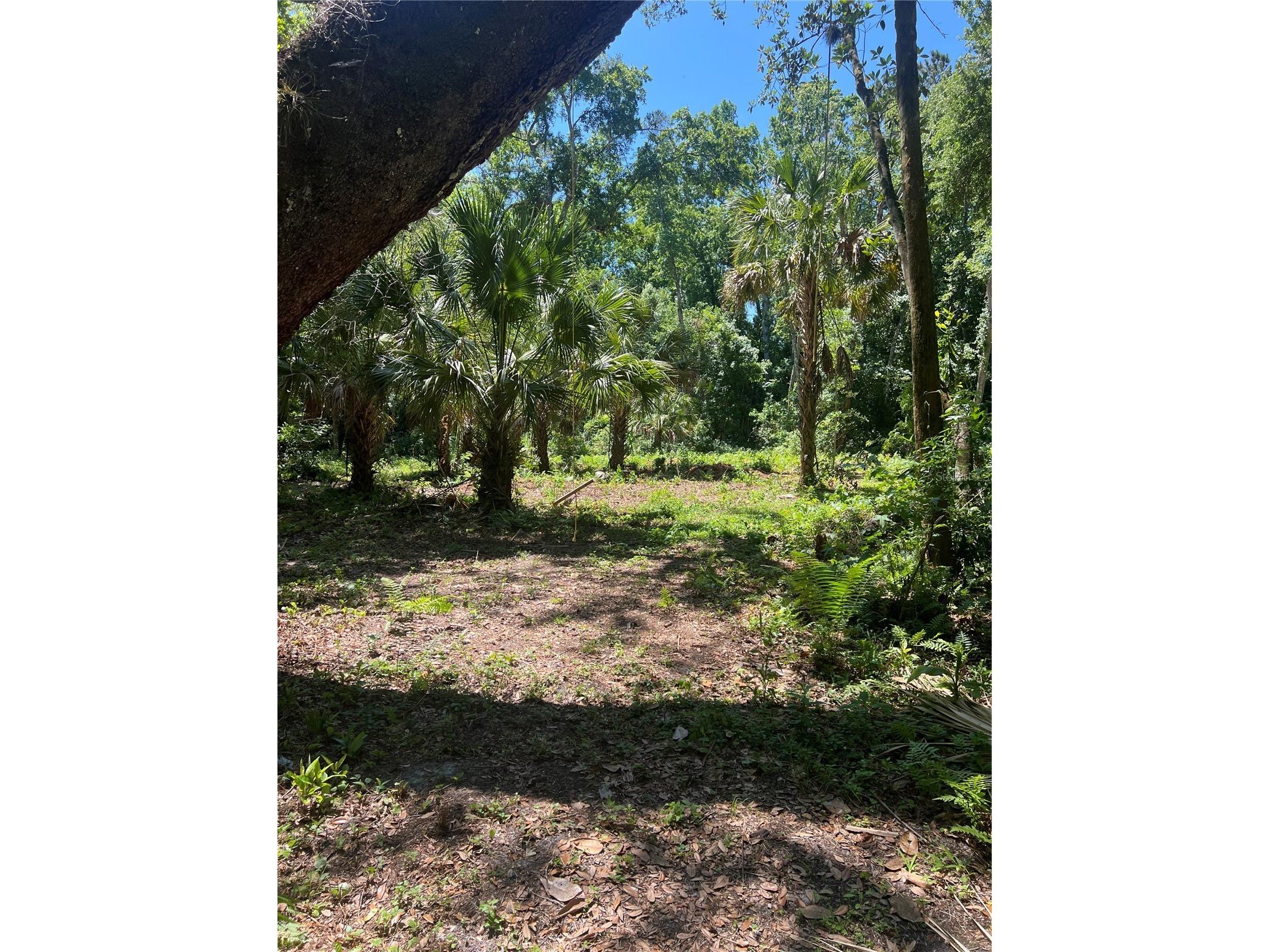 1735 Timocuan Way Longwood FL 32750 S5150078 image24