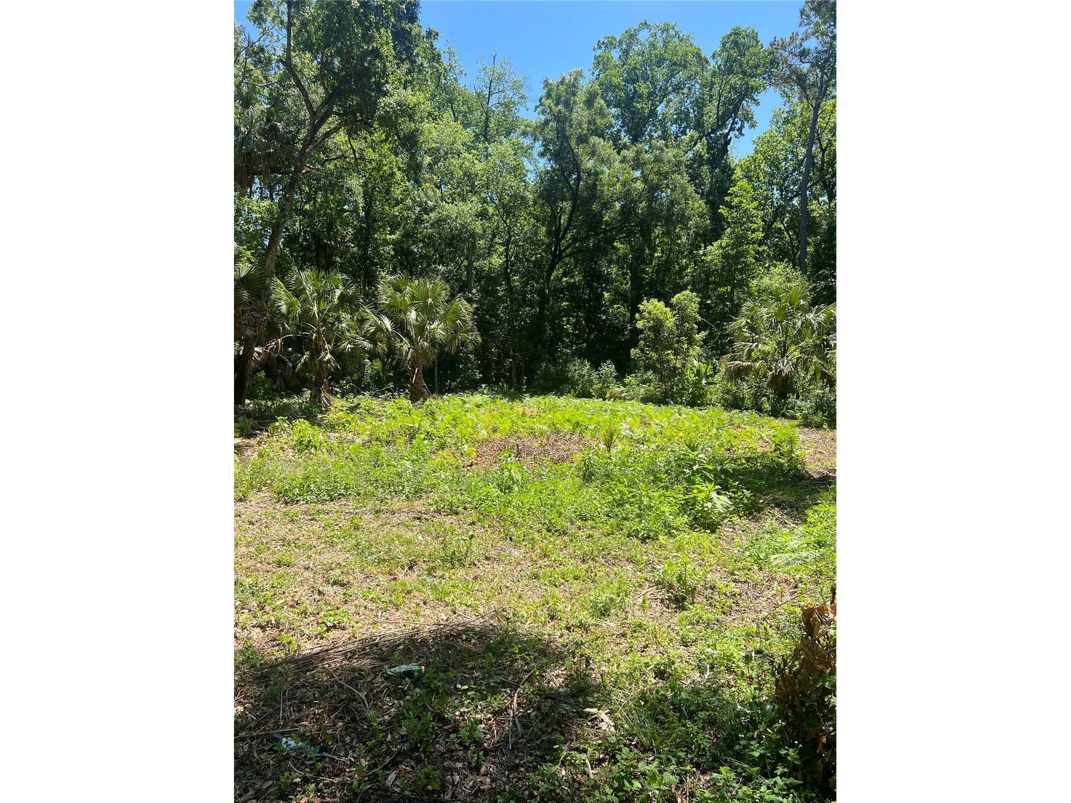 1735 Timocuan Way Longwood FL 32750 S5150078 image25