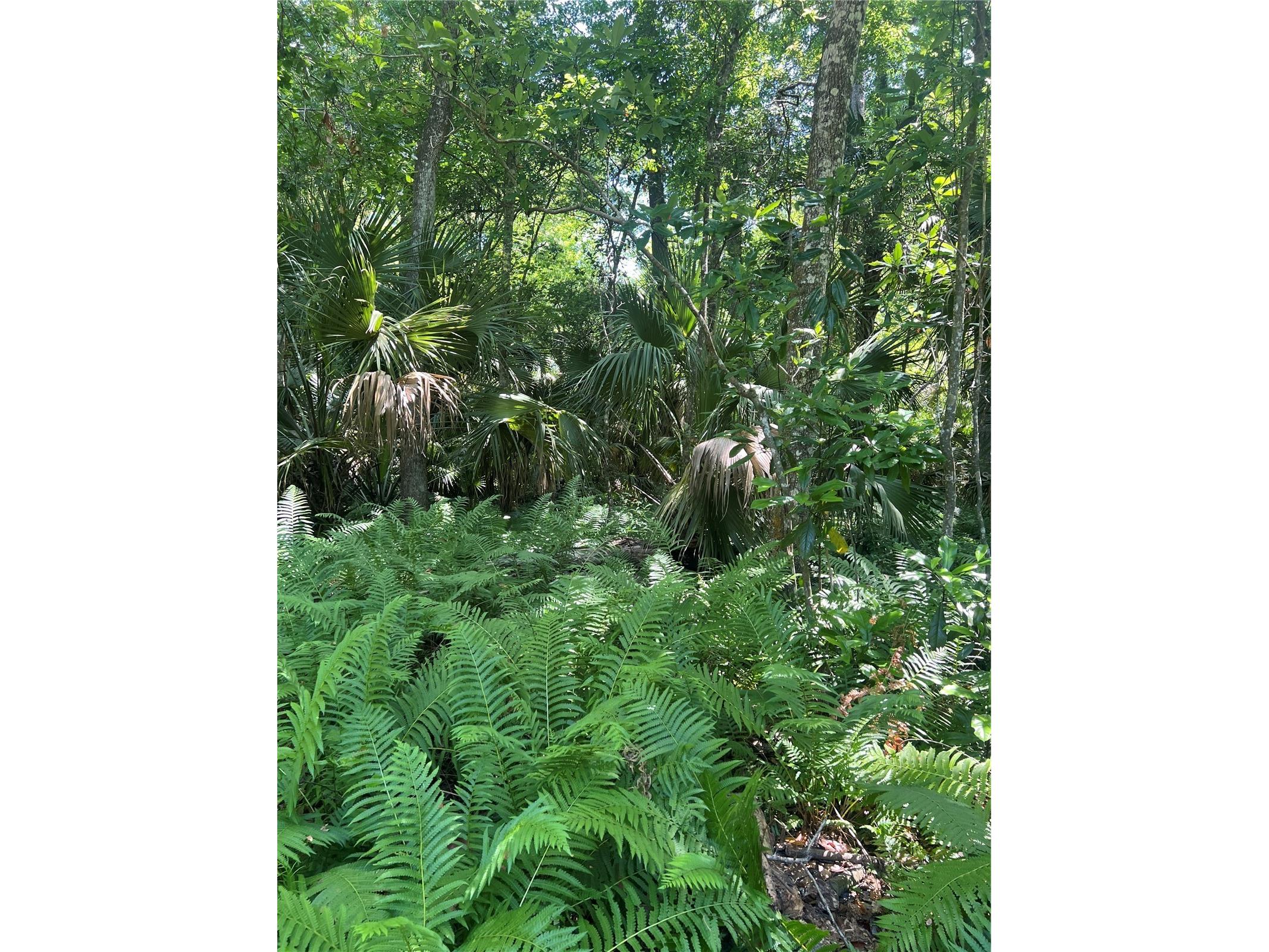1735 Timocuan Way Longwood FL 32750 S5150078 image26