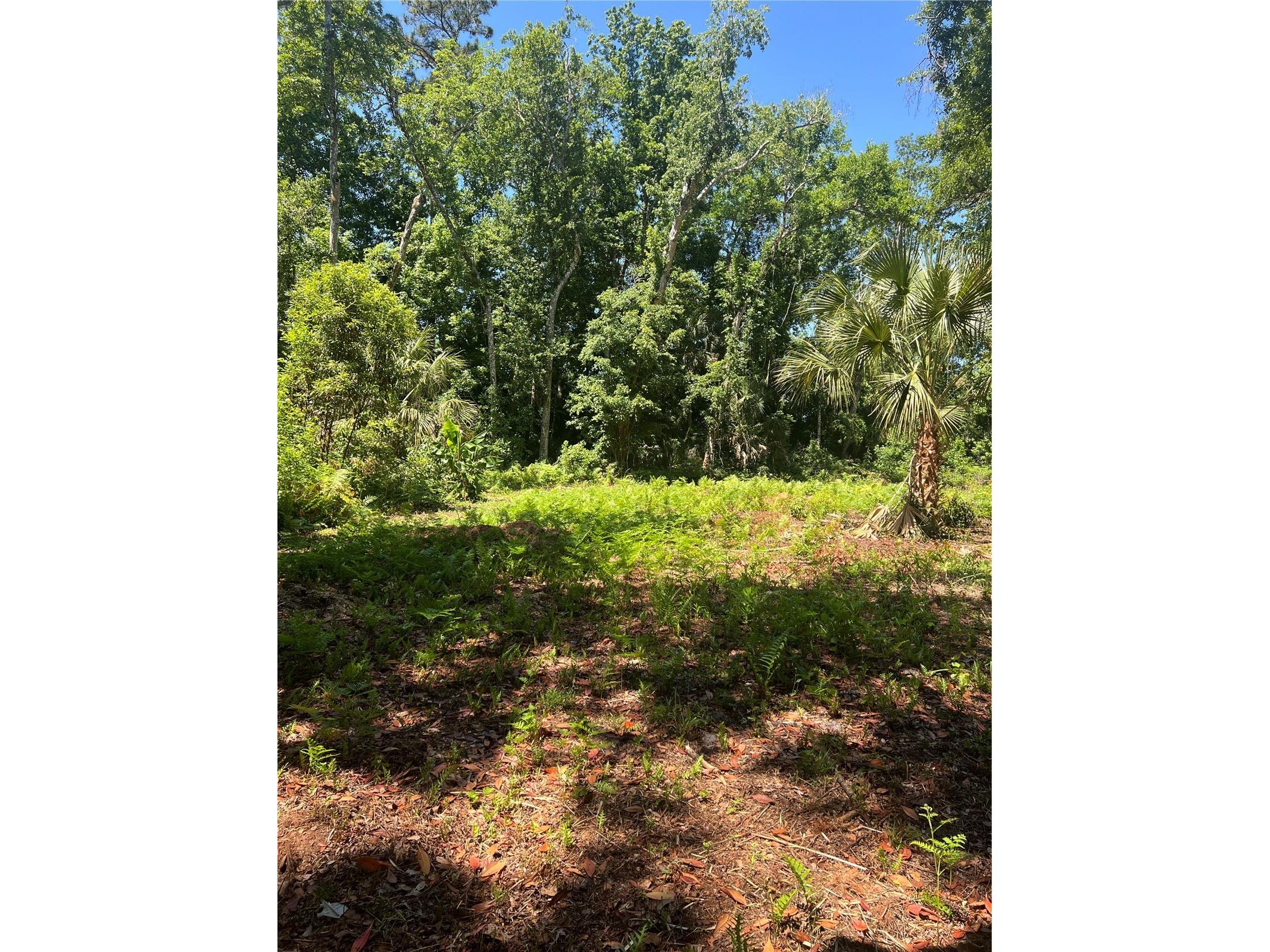 1735 Timocuan Way Longwood FL 32750 S5150078 image27