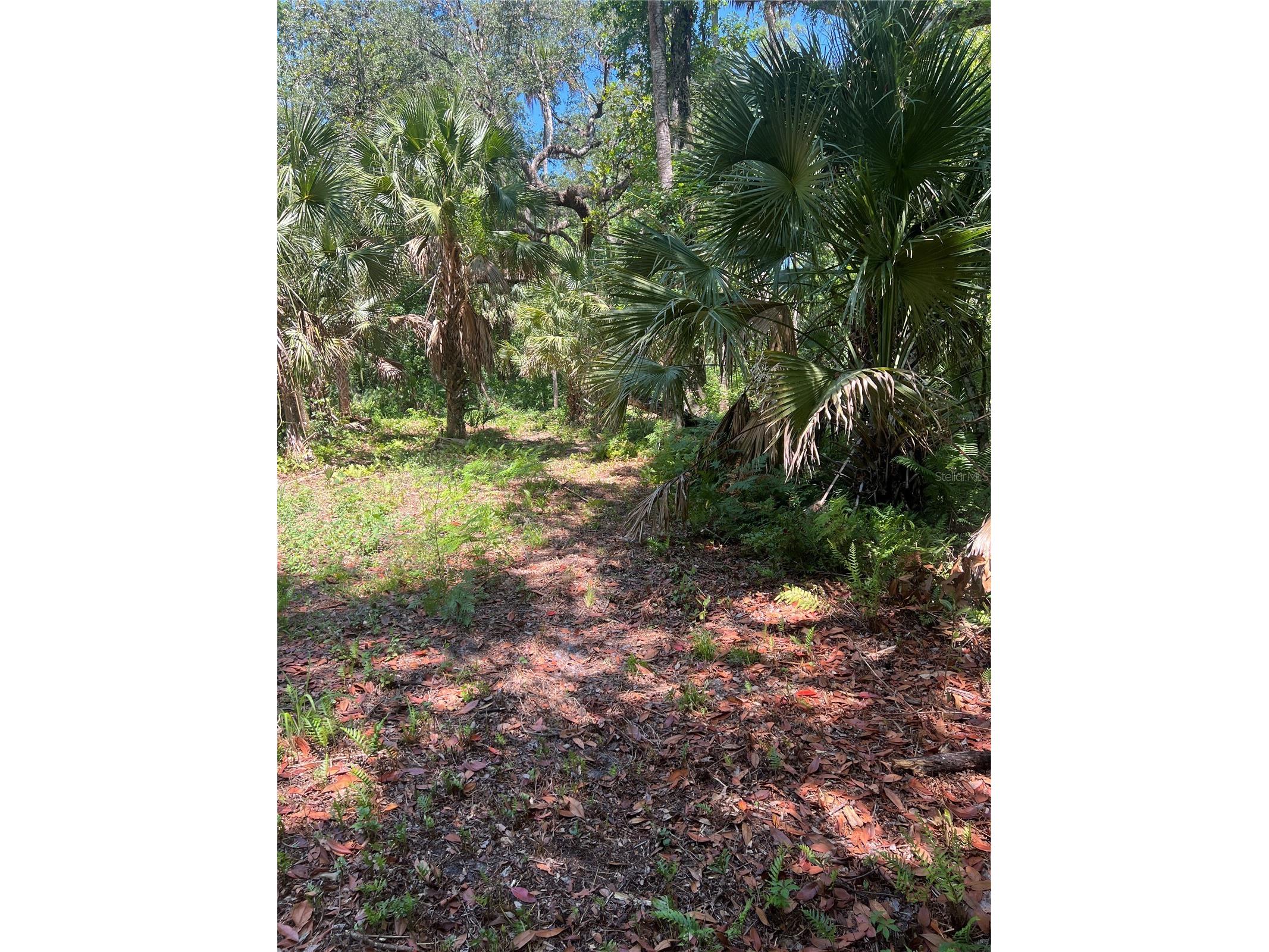1735 Timocuan Way Longwood FL 32750 S5150078 image28