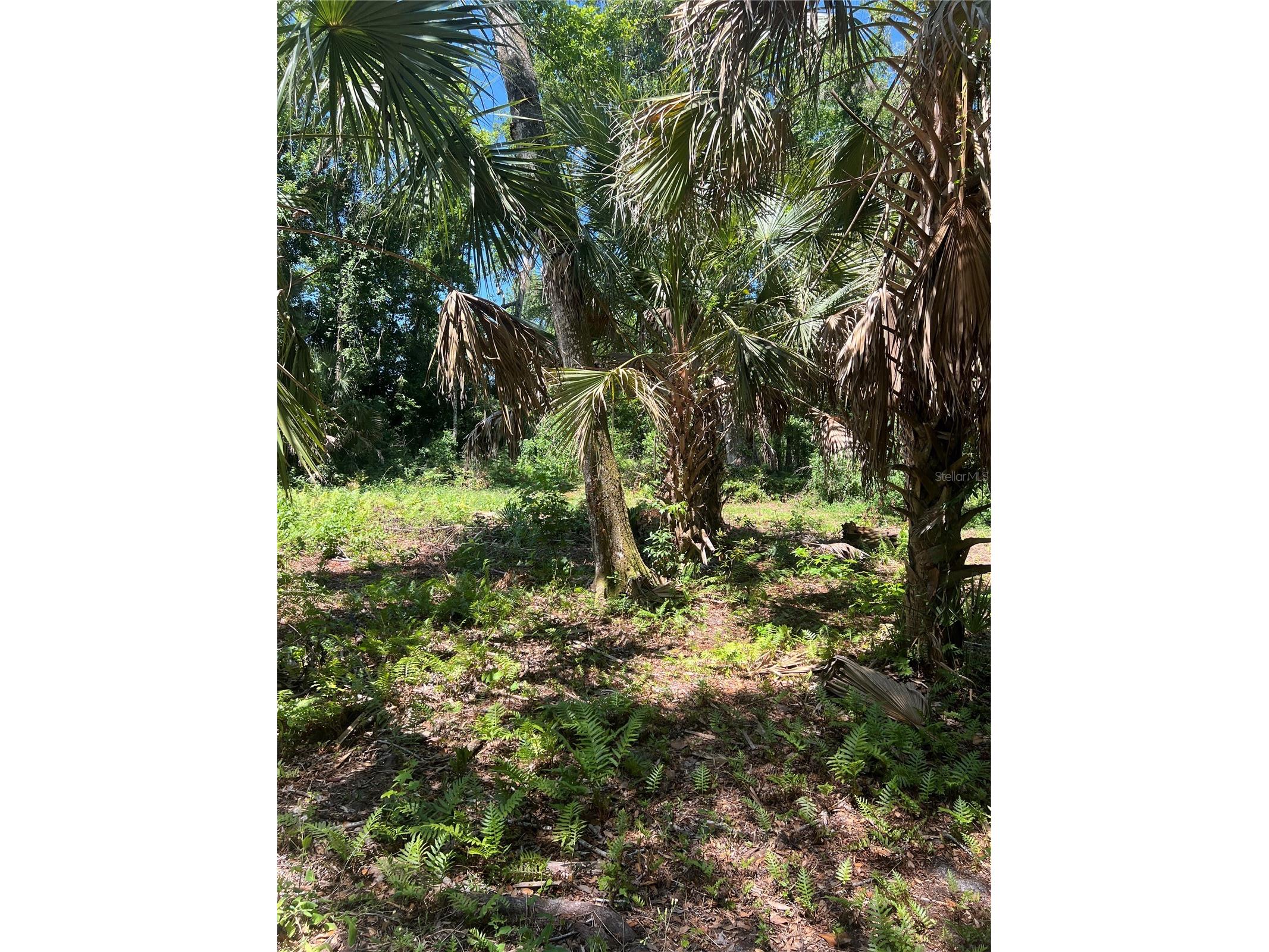 1735 Timocuan Way Longwood FL 32750 S5150078 image29