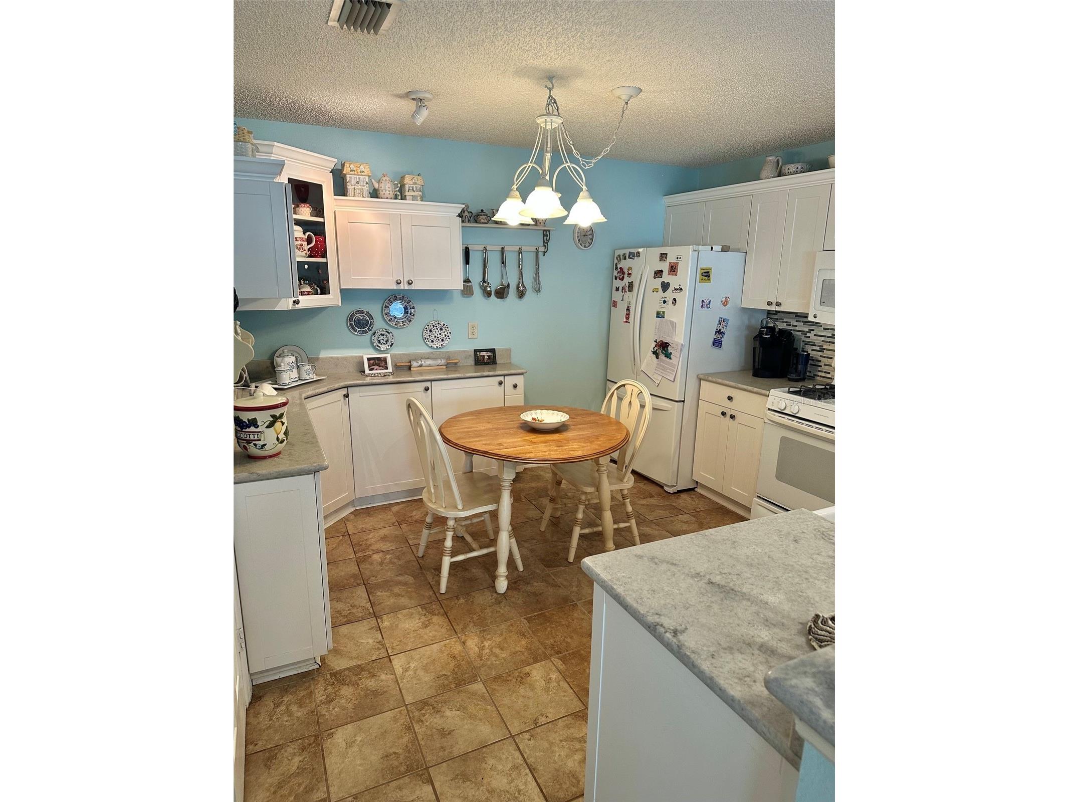 17350 SE 77th Sycamore Avenue The Villages FL 32162 G5112584 image5