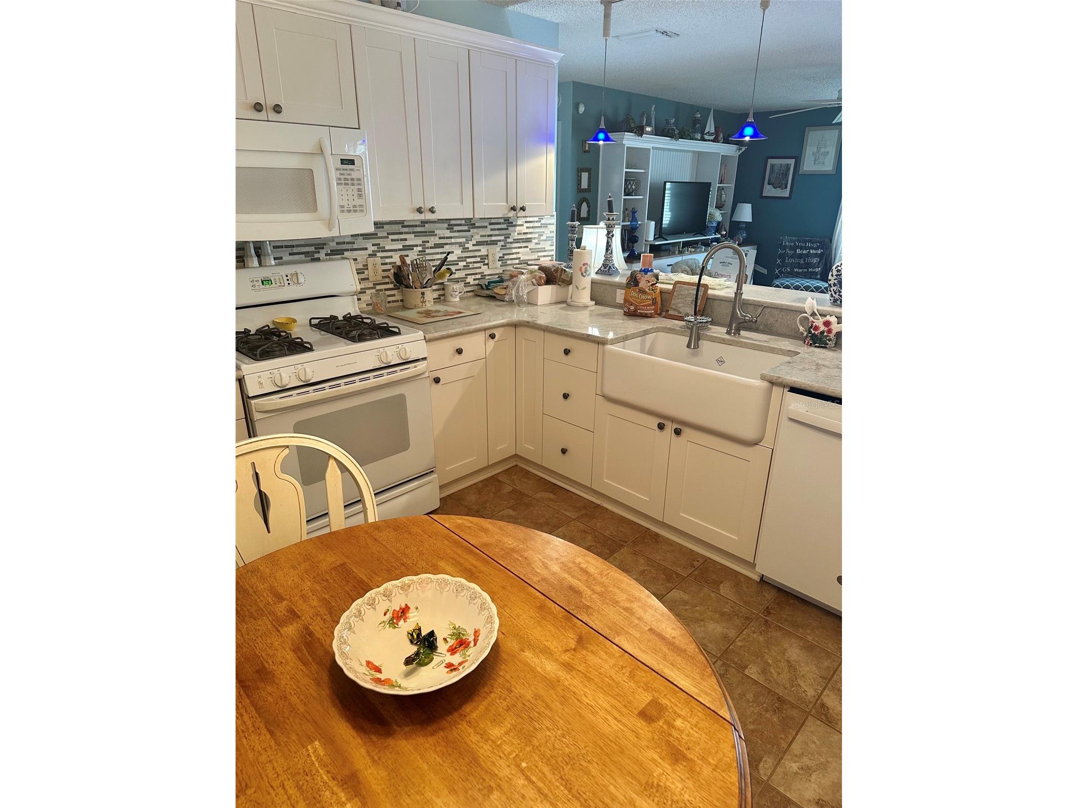 17350 SE 77th Sycamore Avenue The Villages FL 32162 G5112584 image6