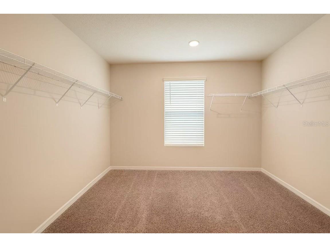 17351 Million Lakes Court Clermont FL 34714 O6366500 image13