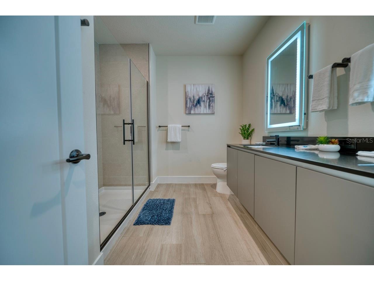 17352 Blessing Drive Clermont FL 34714 S5147378 image37