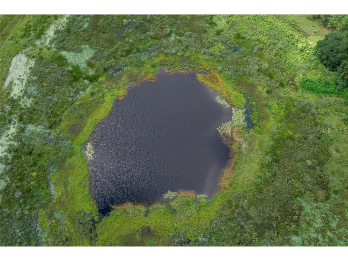 17355 SE 260th Avenue Road Umatilla FL 32784 OM710867 image51