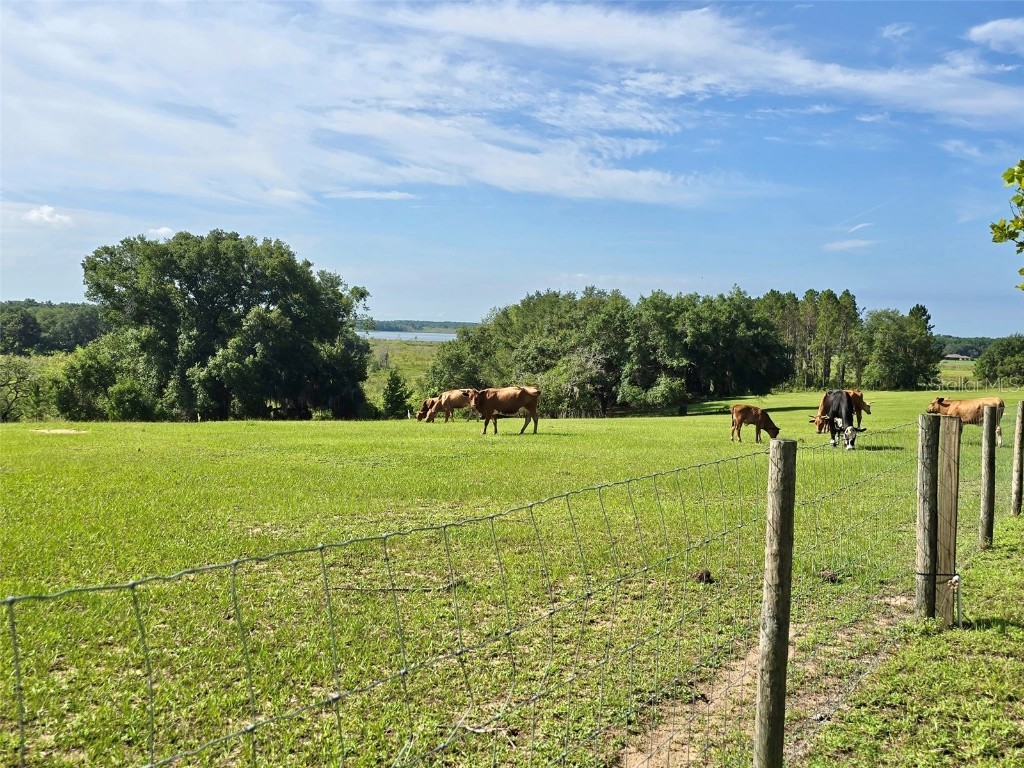 17355 SE 260th Avenue Road Umatilla FL 32784 OM710867 image62