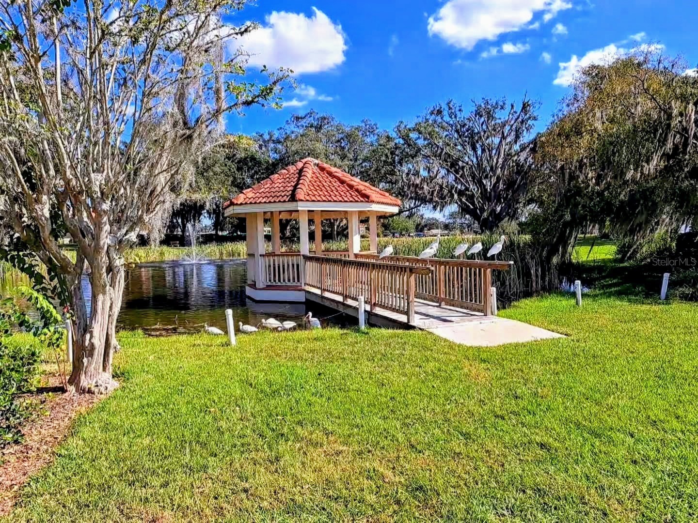 17356 SE 98th Circle Summerfield FL 34491 G5102778 image63