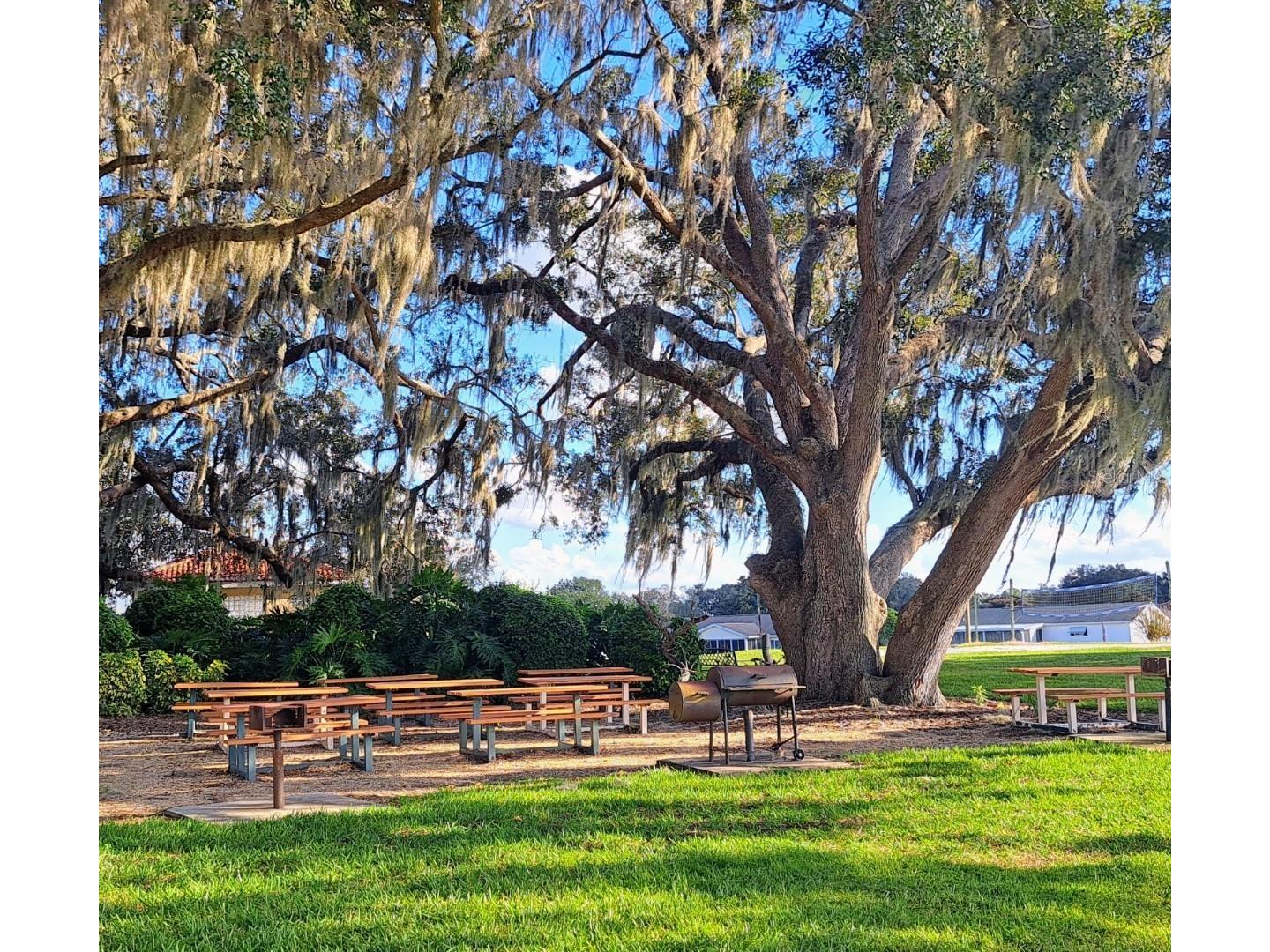 17356 SE 98th Circle Summerfield FL 34491 G5102778 image65