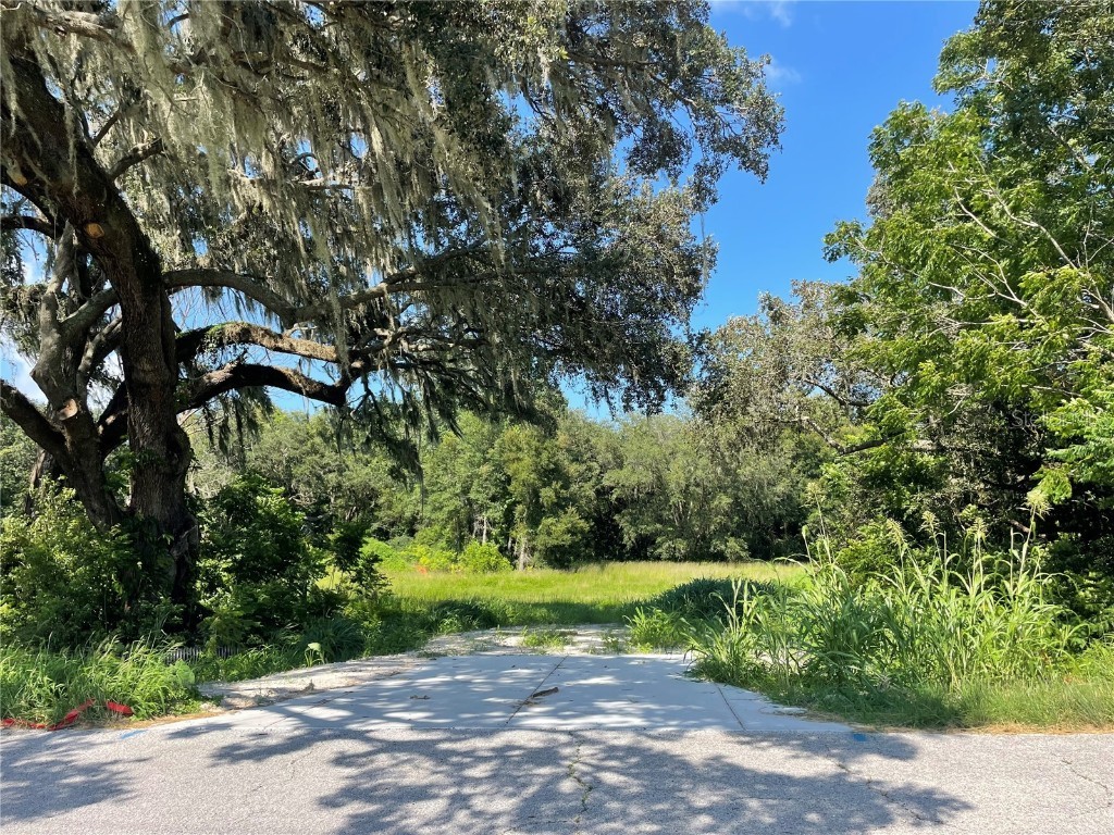 17356 Spring Valley Road Dade City FL 33523 T3455751 image1