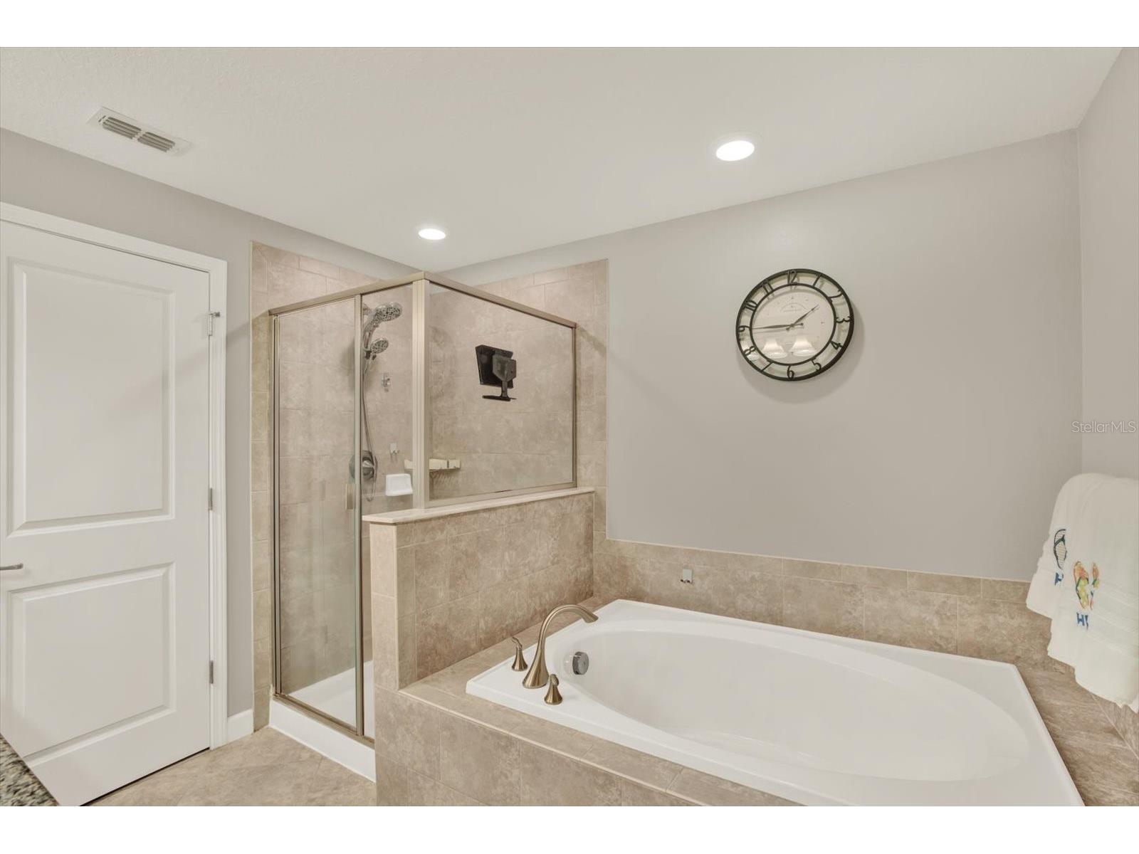 17358 Old Tobacco Road Lutz FL 33558 TB8467840 image17