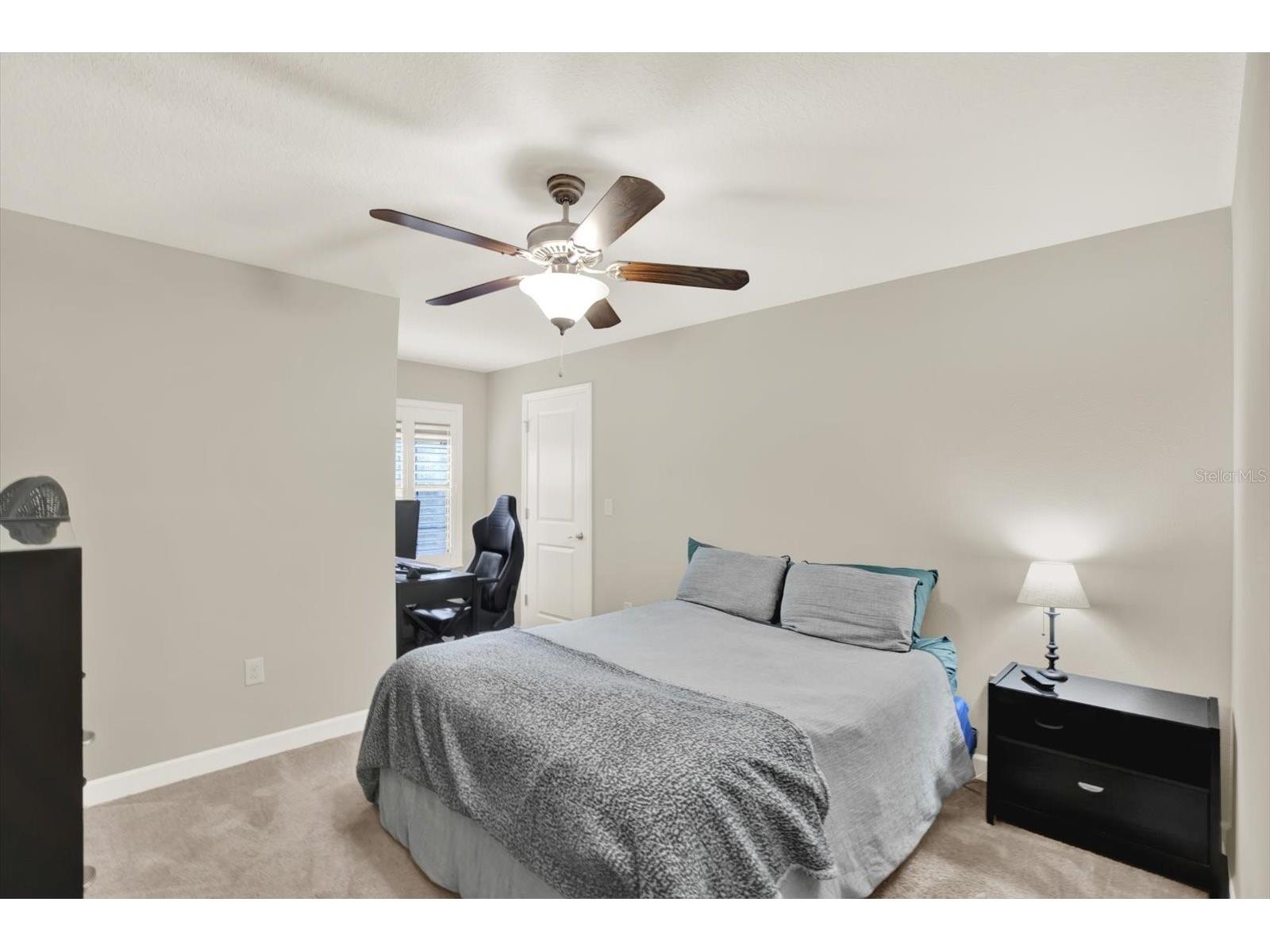 17358 Old Tobacco Road Lutz FL 33558 TB8467840 image18