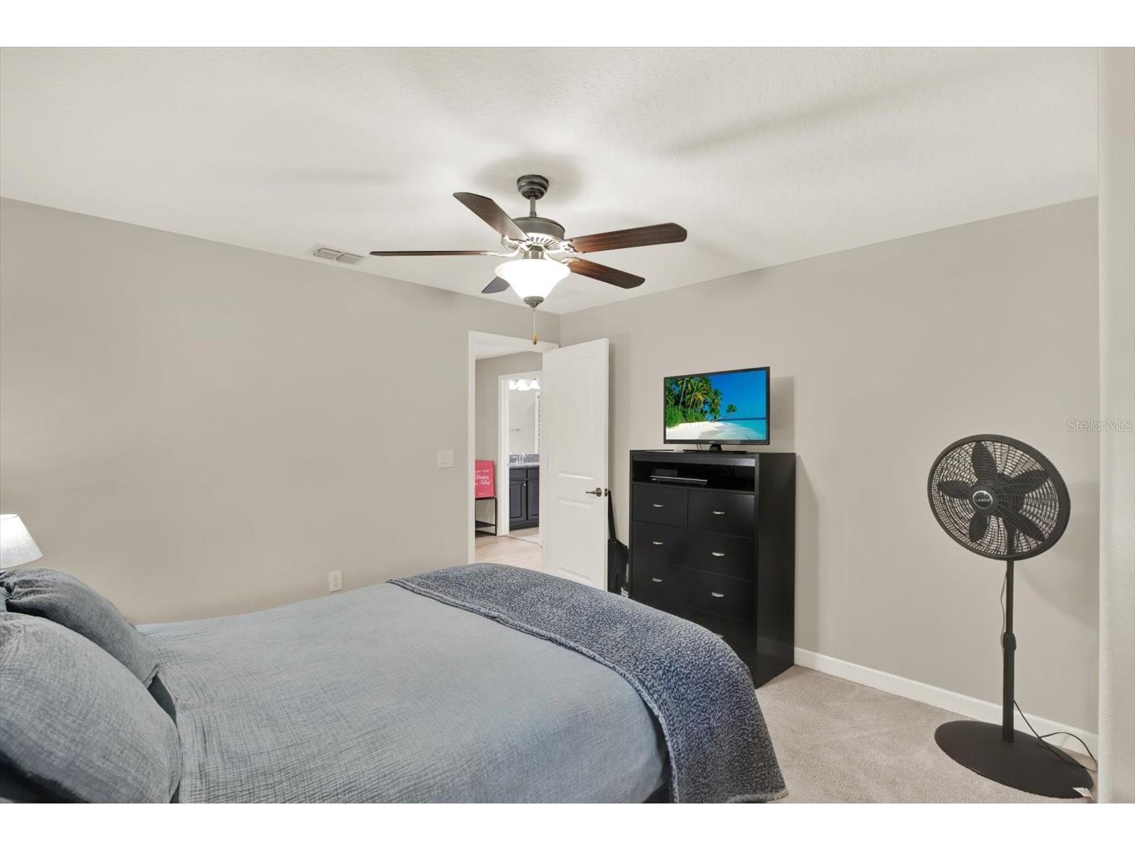 17358 Old Tobacco Road Lutz FL 33558 TB8467840 image19