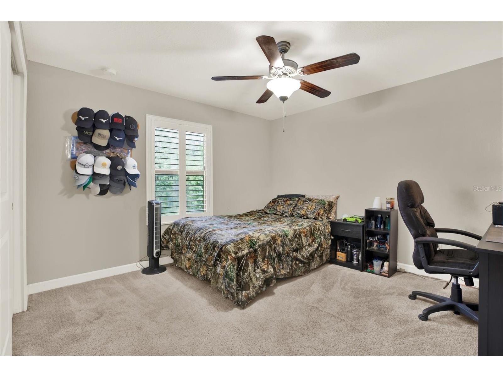 17358 Old Tobacco Road Lutz FL 33558 TB8467840 image21