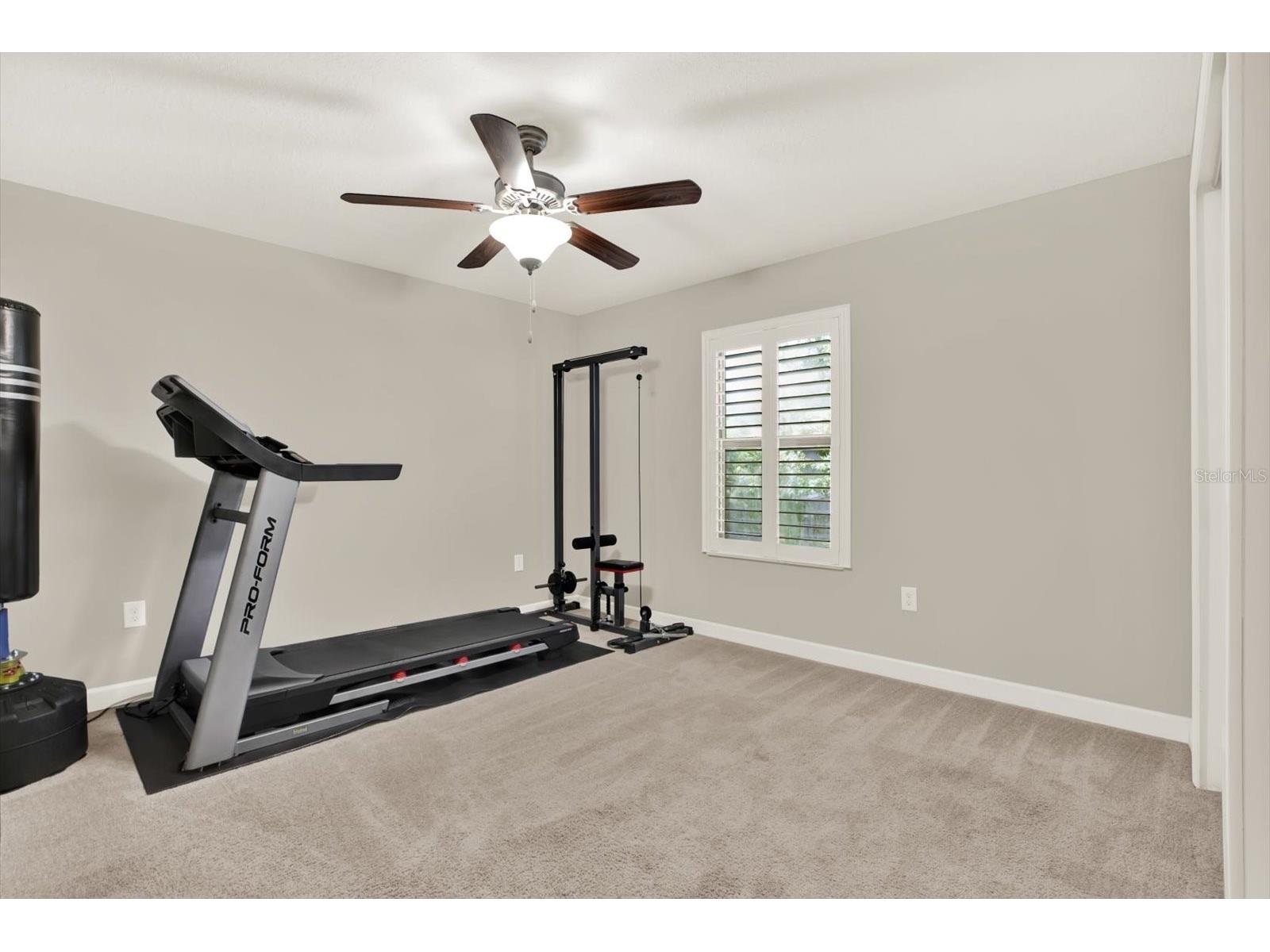 17358 Old Tobacco Road Lutz FL 33558 TB8467840 image24