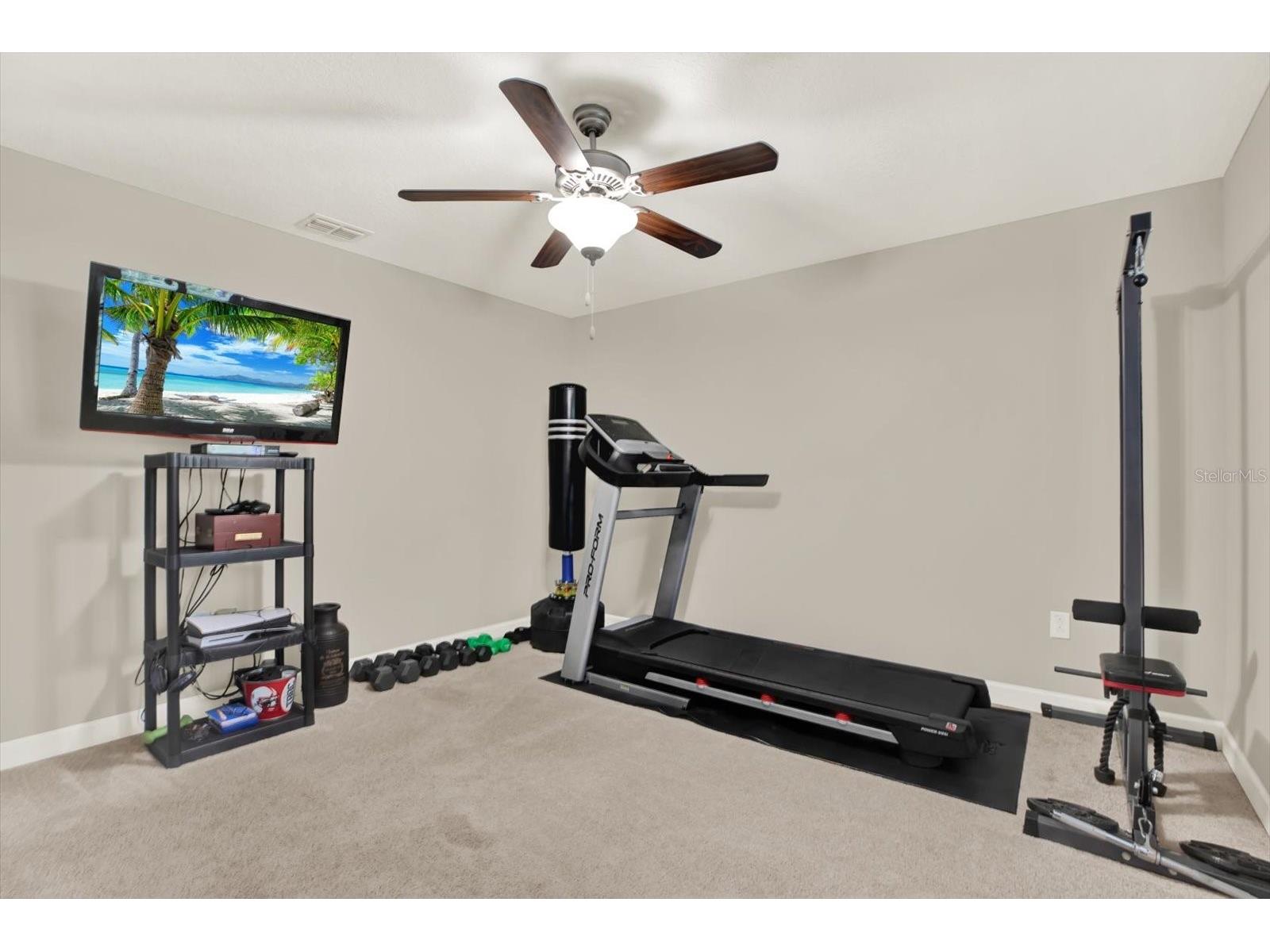 17358 Old Tobacco Road Lutz FL 33558 TB8467840 image25