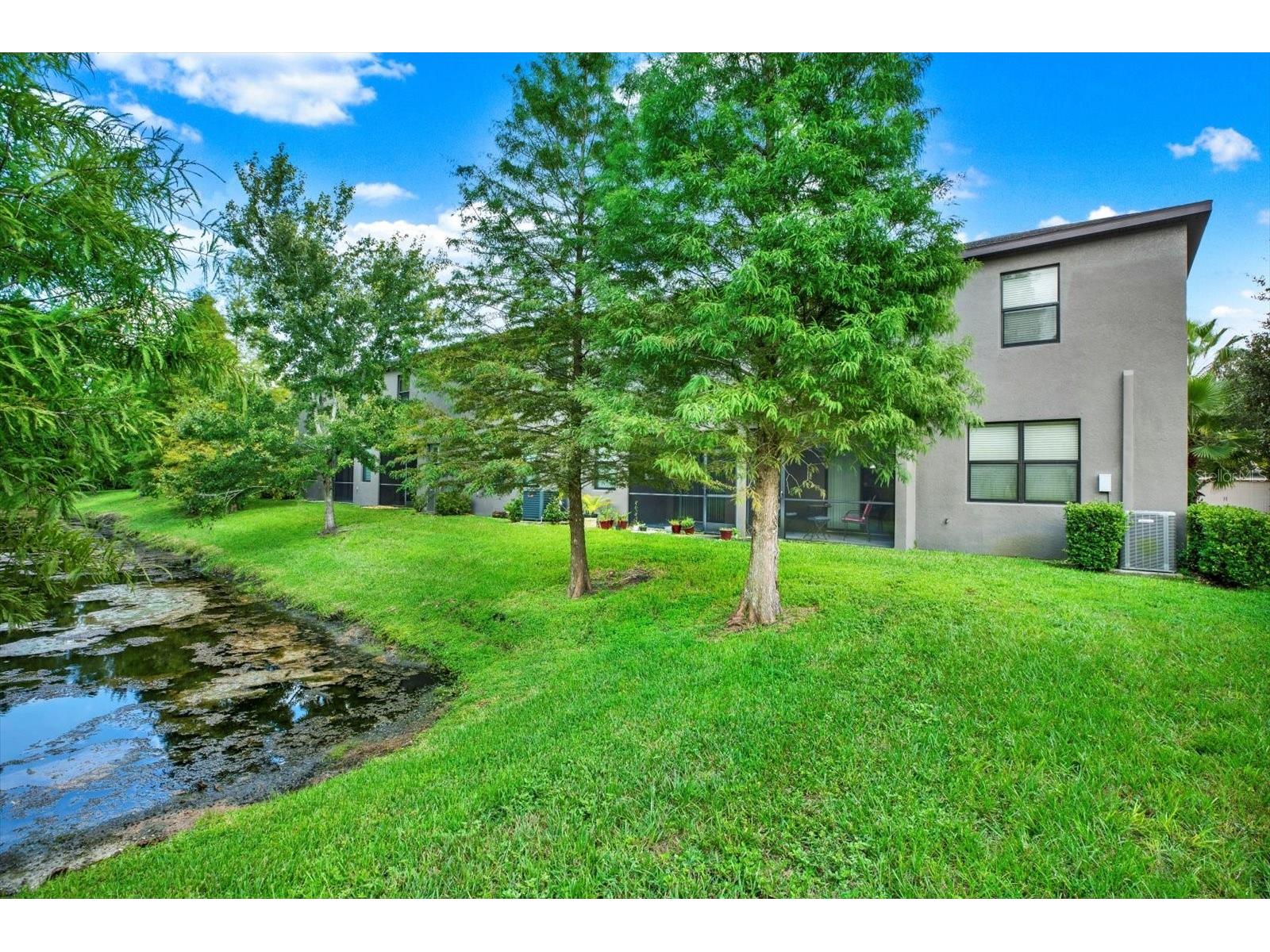 17358 Old Tobacco Road Lutz FL 33558 TB8467840 image28