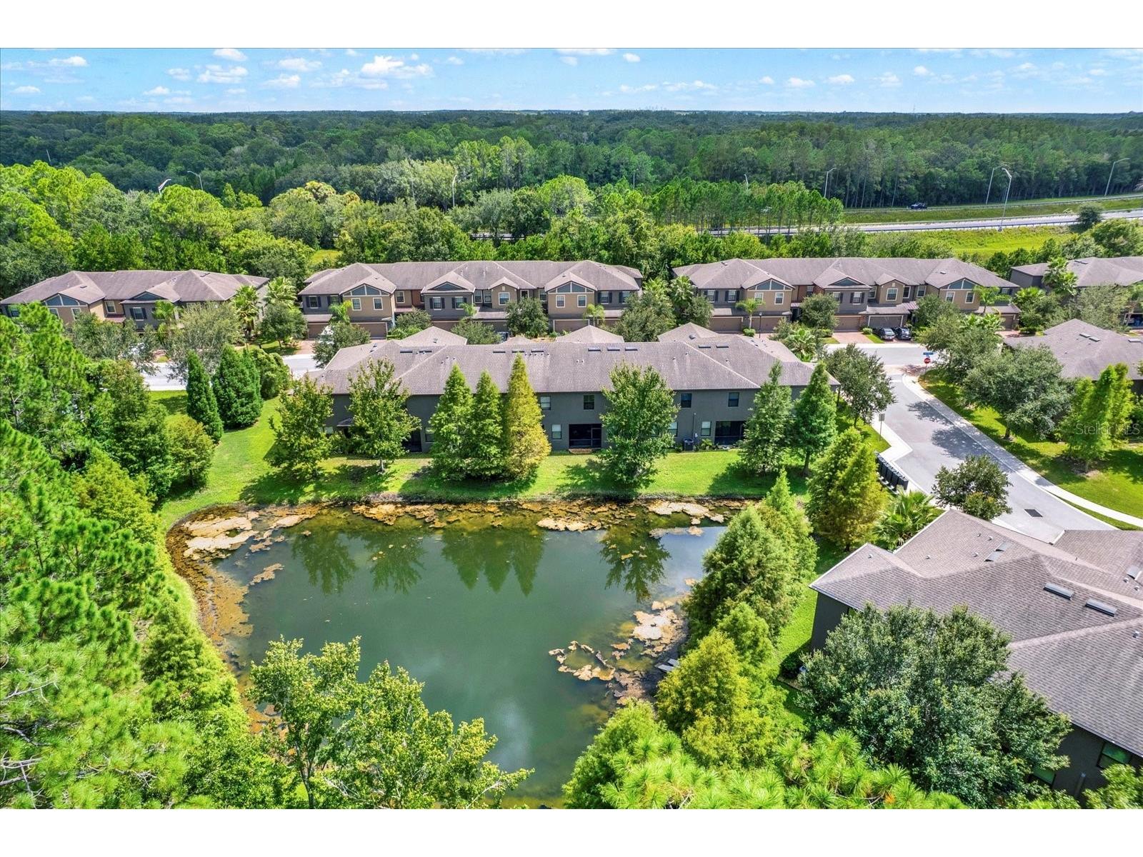 17358 Old Tobacco Road Lutz FL 33558 TB8467840 image29