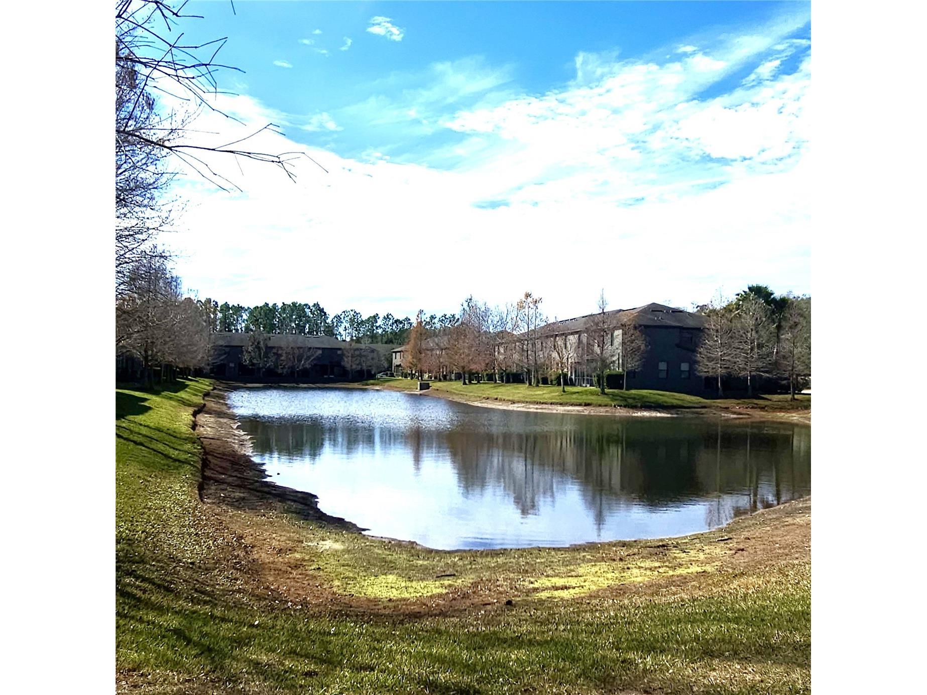 17358 Old Tobacco Road Lutz FL 33558 TB8467840 image30