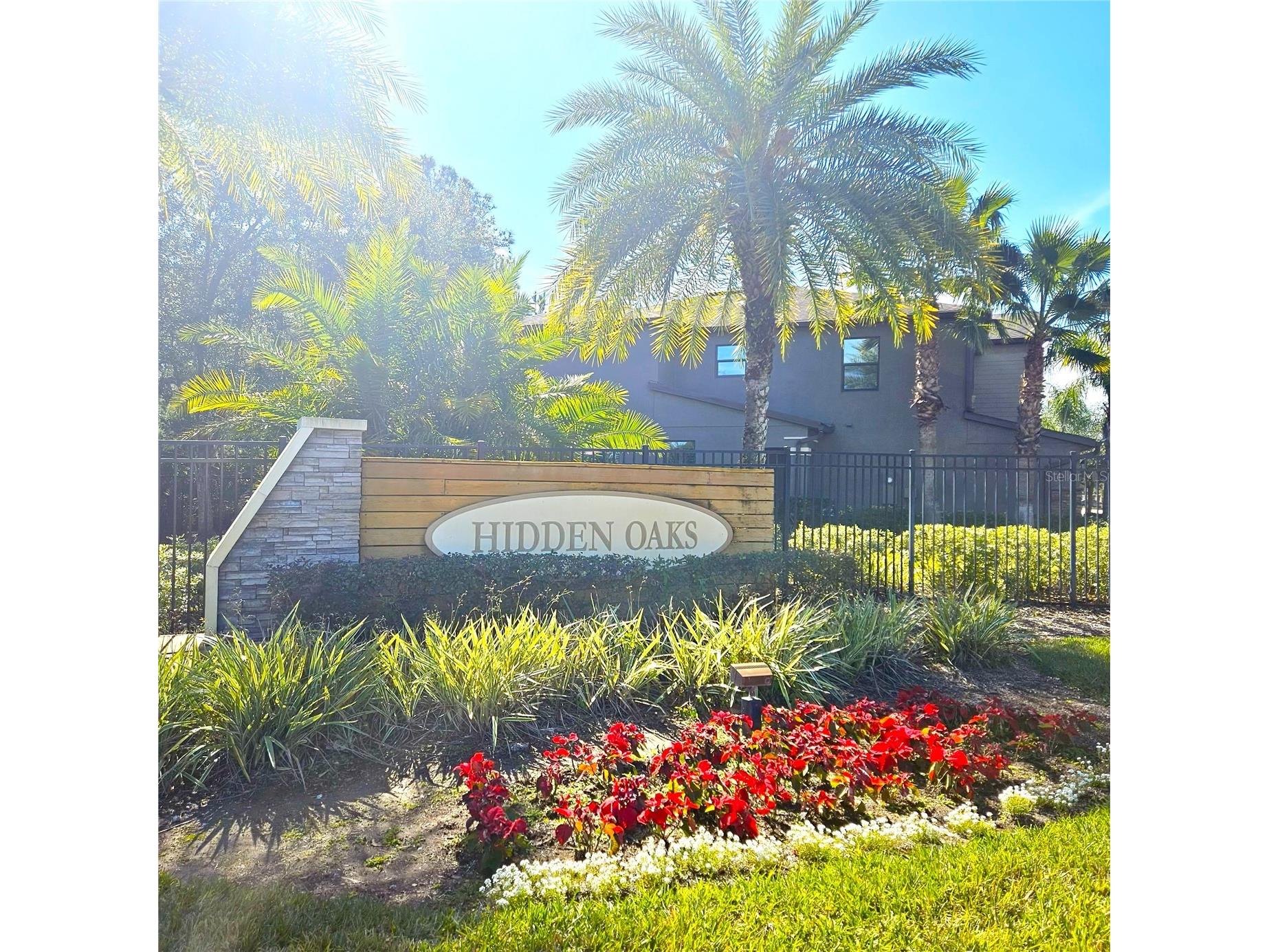 17358 Old Tobacco Road Lutz FL 33558 TB8467840 image31