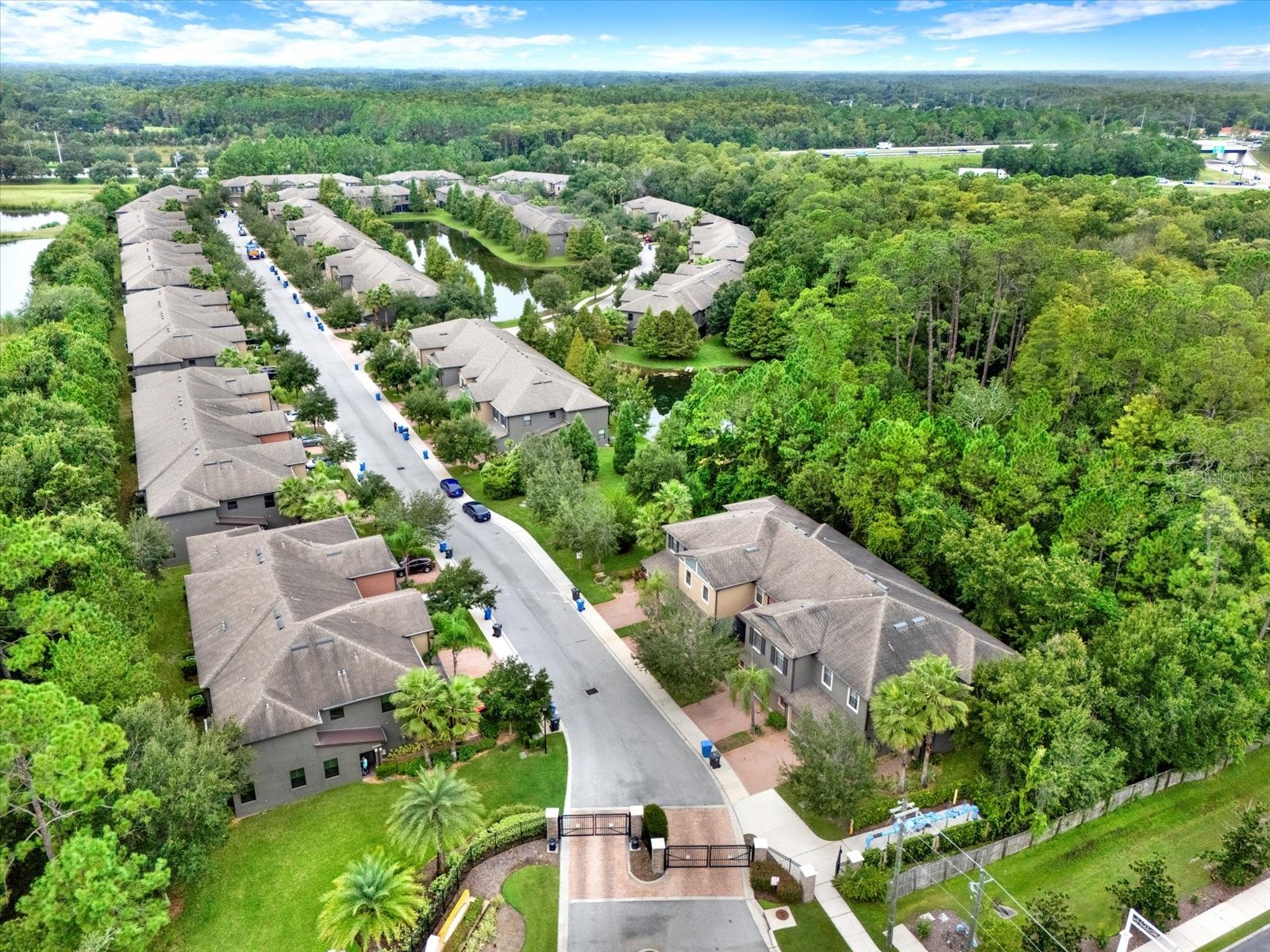 17358 Old Tobacco Road Lutz FL 33558 TB8467840 image34