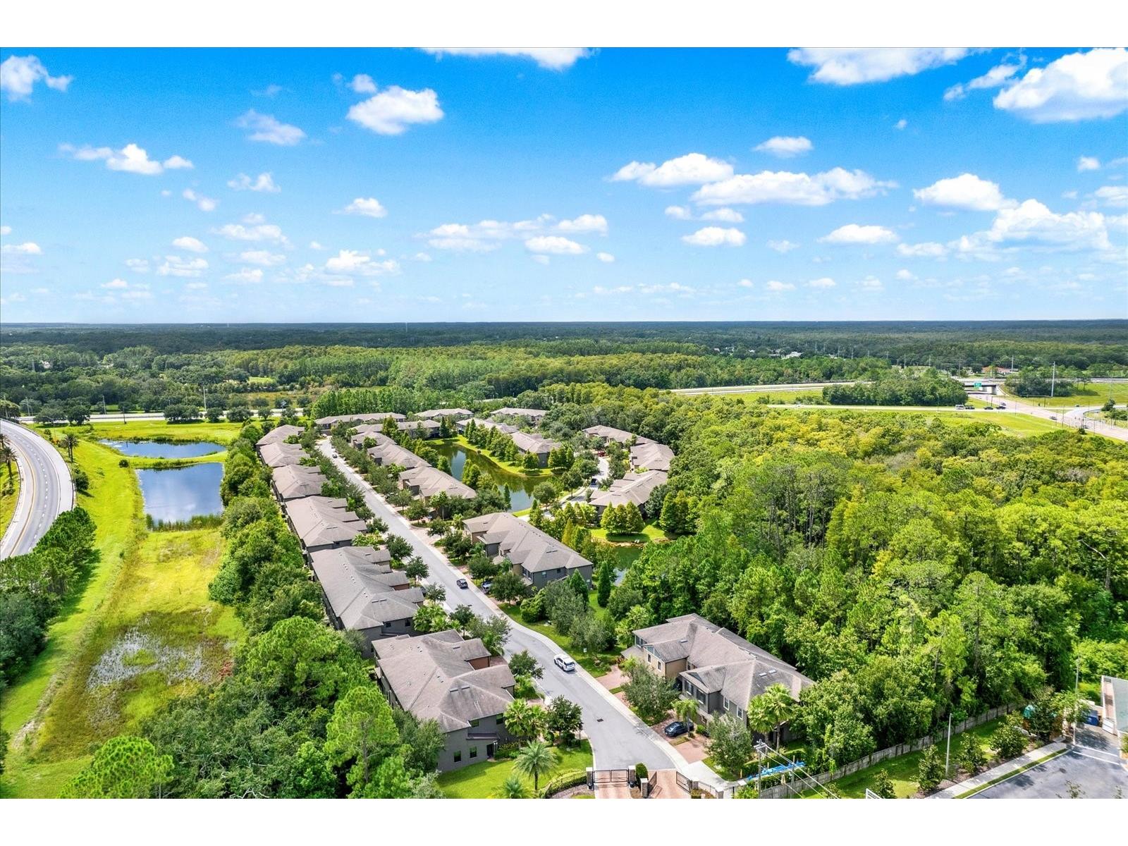 17358 Old Tobacco Road Lutz FL 33558 TB8467840 image35