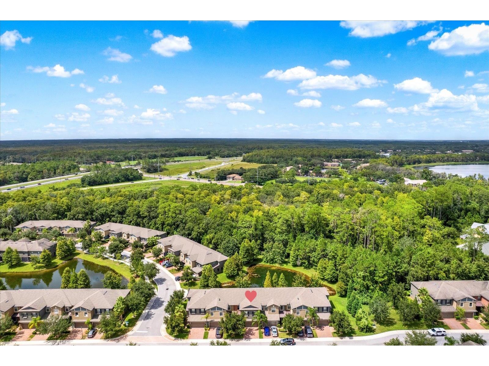 17358 Old Tobacco Road Lutz FL 33558 TB8467840 image36