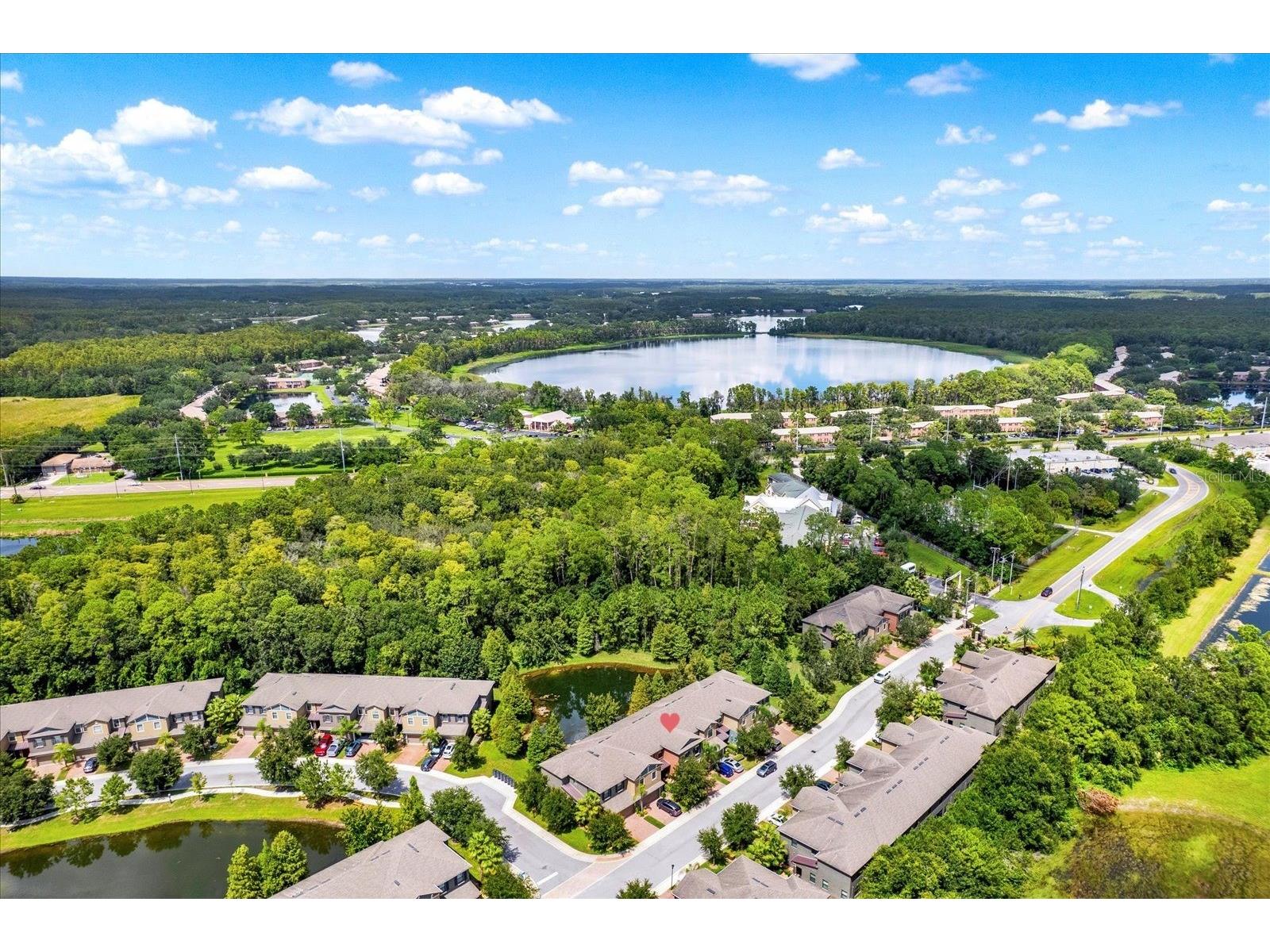 17358 Old Tobacco Road Lutz FL 33558 TB8467840 image37