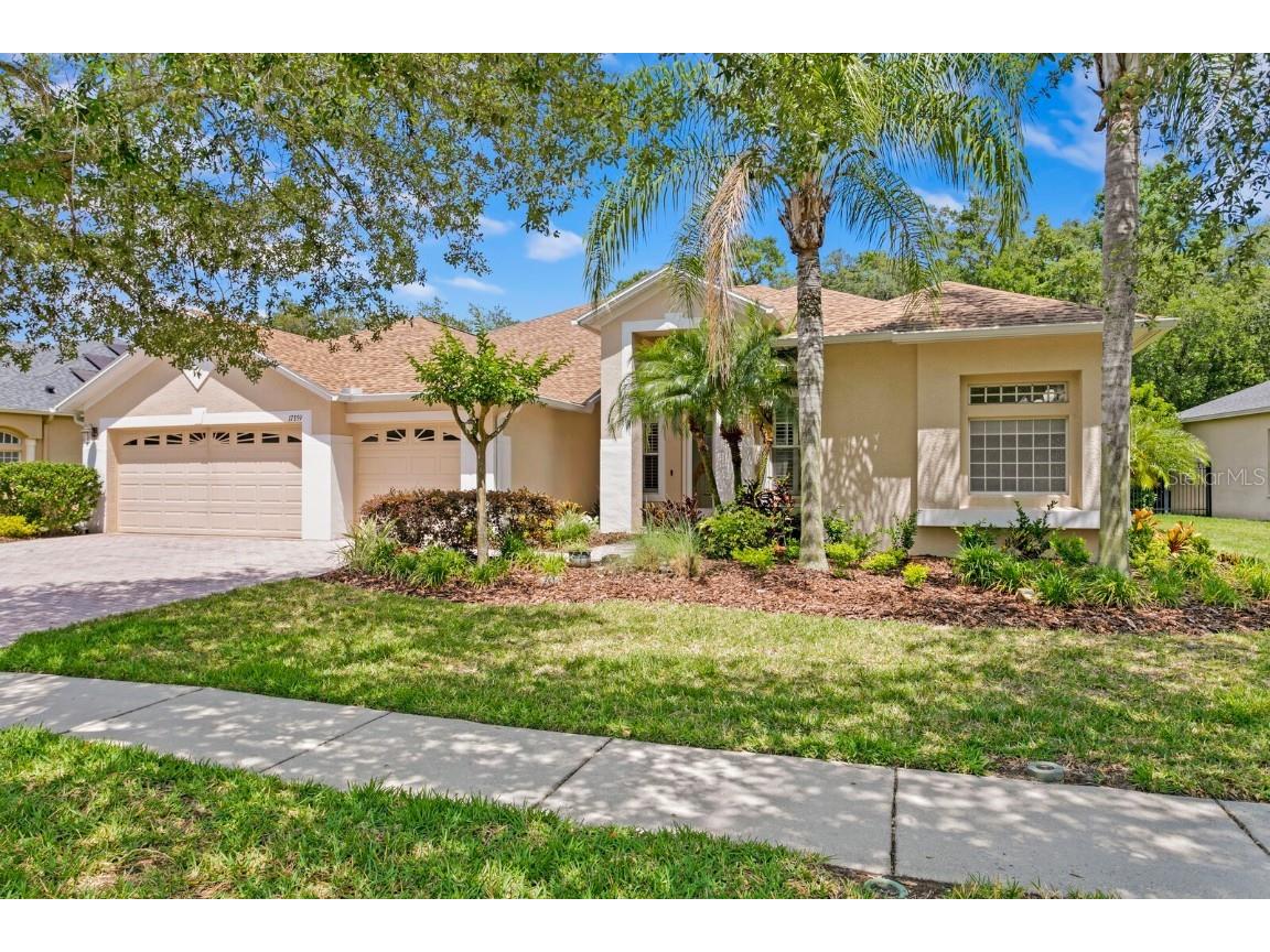 17359 Emerald Chase Drive Tampa FL 33647 T3522030 image1