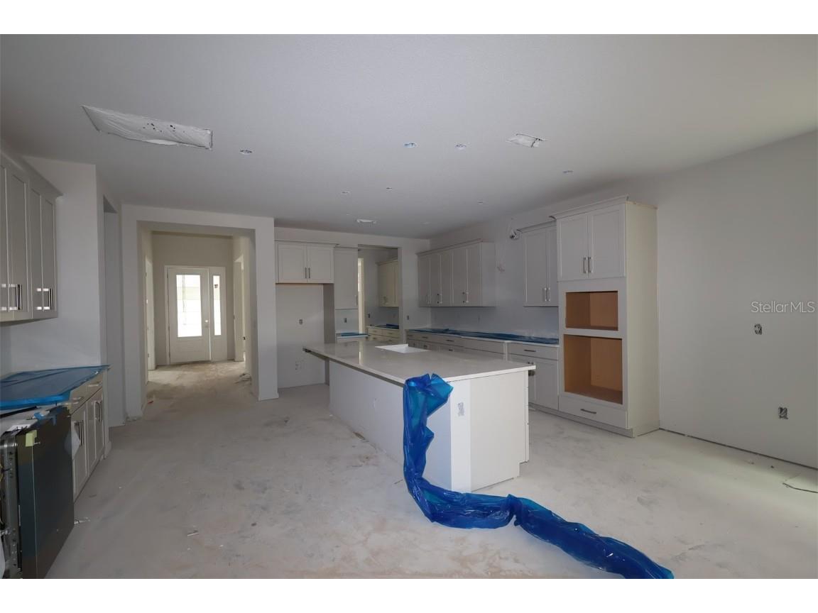 17360 Glossy Pomelo Winter Garden FL 34787 O6365246 image4