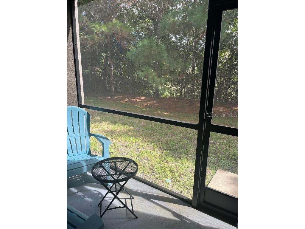 17361 Old Tobacco Road Lutz FL 33558 TB8400172 image13