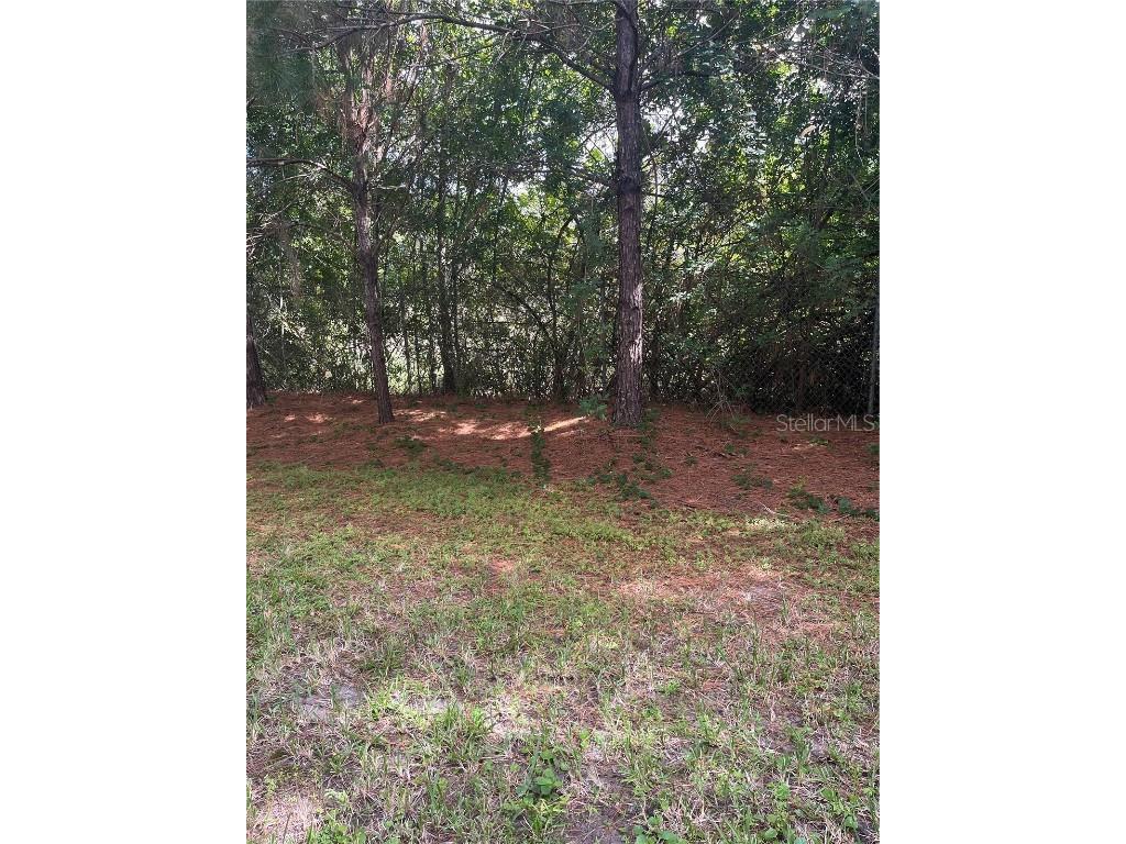 17361 Old Tobacco Road Lutz FL 33558 TB8400172 image14