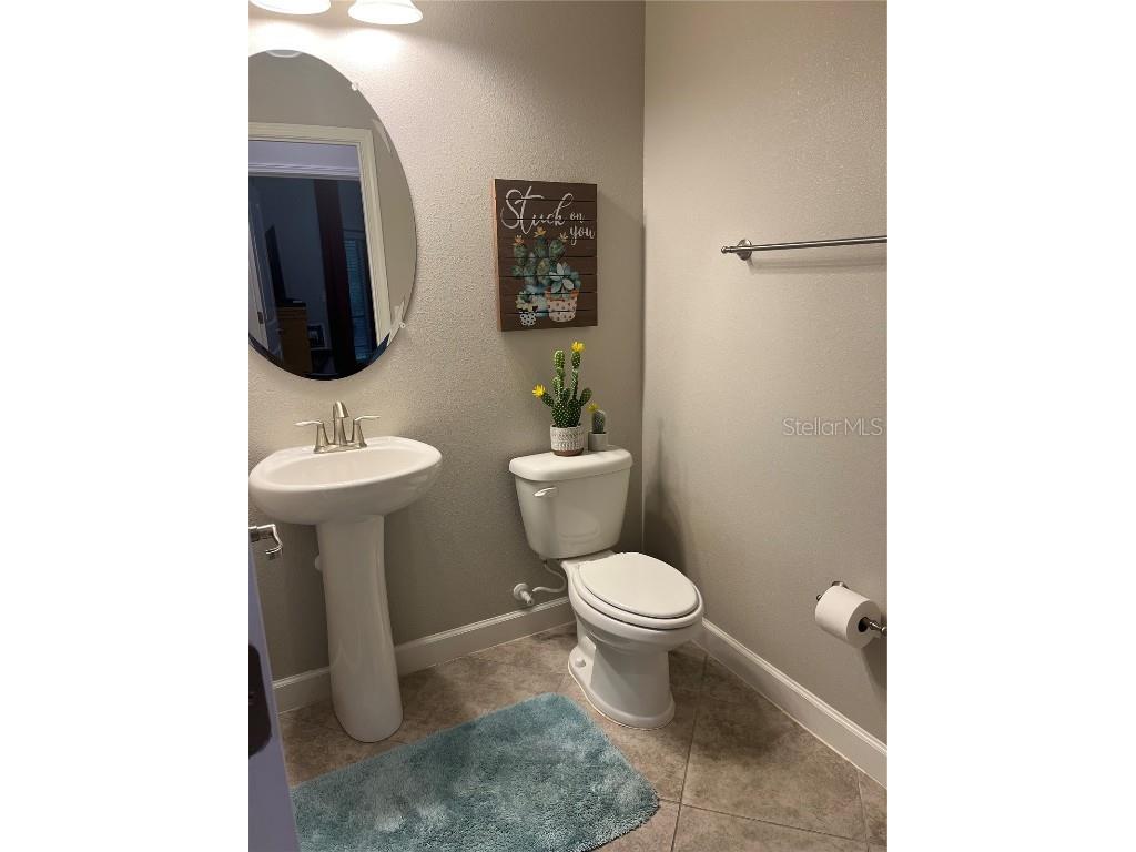 17361 Old Tobacco Road Lutz FL 33558 TB8400172 image15