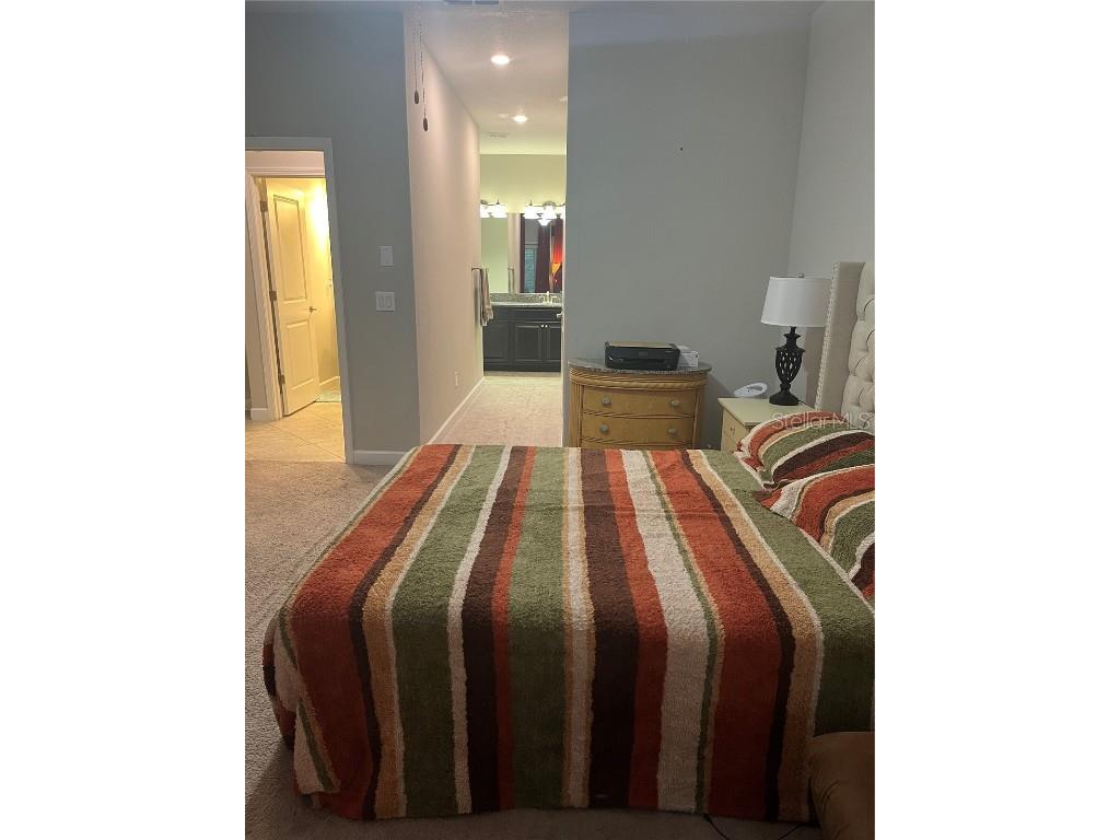 17361 Old Tobacco Road Lutz FL 33558 TB8400172 image16