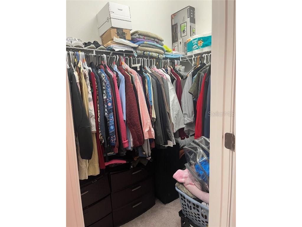 17361 Old Tobacco Road Lutz FL 33558 TB8400172 image18