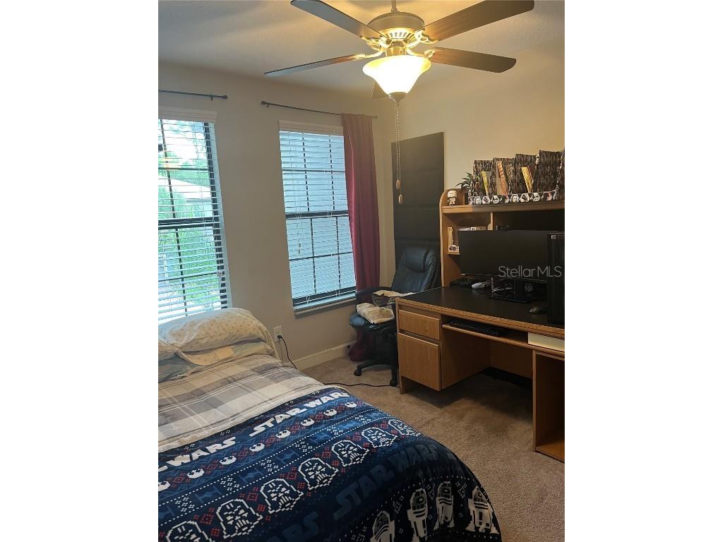 17361 Old Tobacco Road Lutz FL 33558 TB8400172 image25