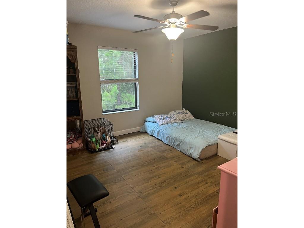 17361 Old Tobacco Road Lutz FL 33558 TB8400172 image26