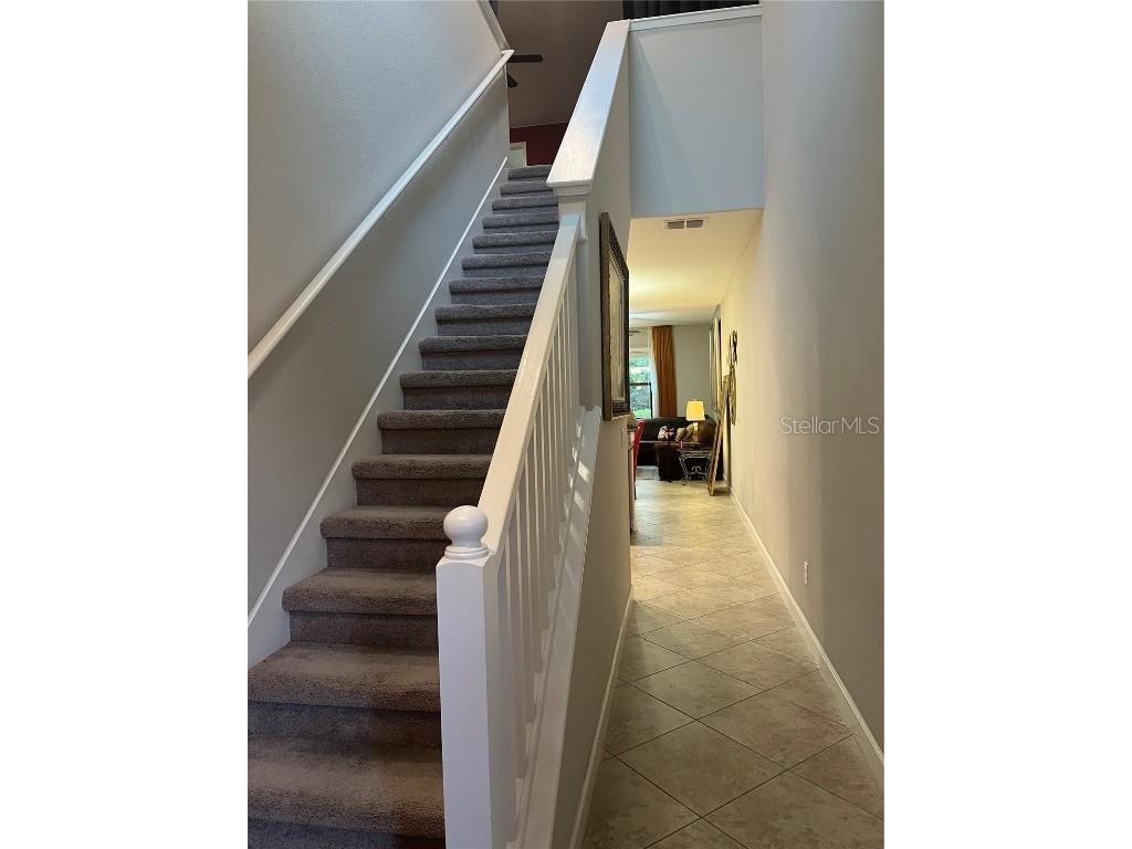 17361 Old Tobacco Road Lutz FL 33558 TB8400172 image4