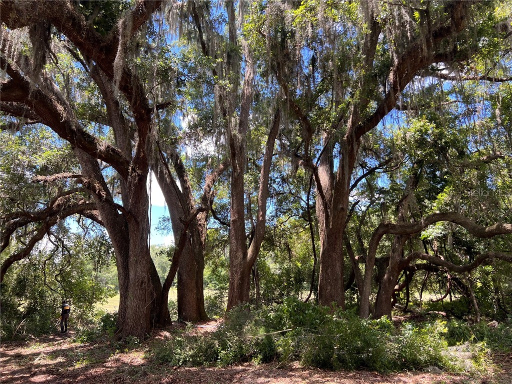 17364 SW 11 Court Newberry FL 32669 R4906718 image1