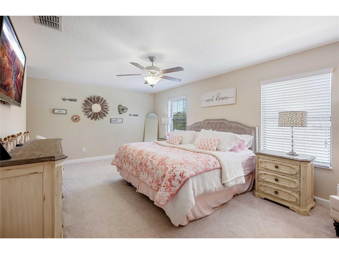 17365 Old Tobacco Road Lutz FL 33558 TB8412828 image22