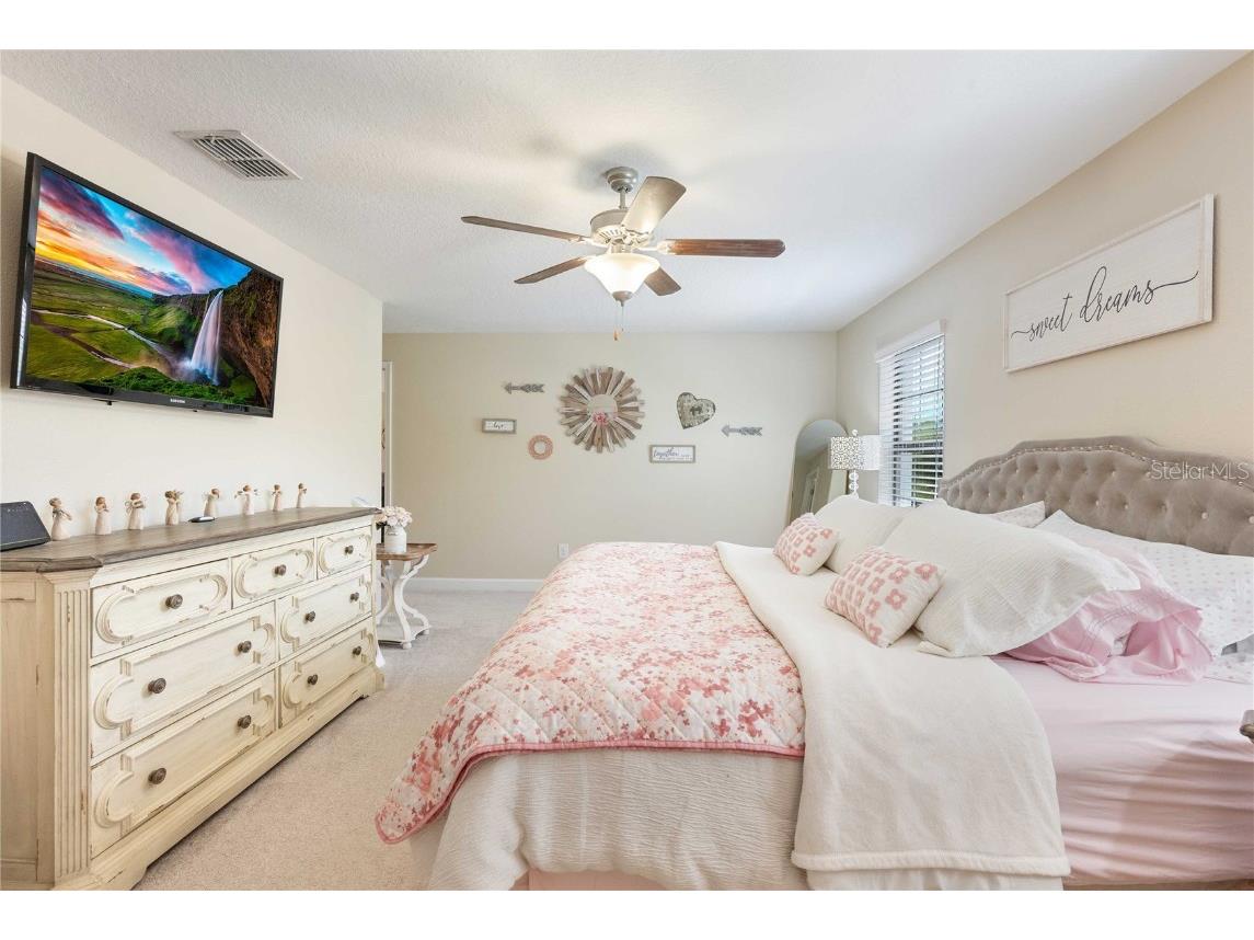 17365 Old Tobacco Road Lutz FL 33558 TB8412828 image23