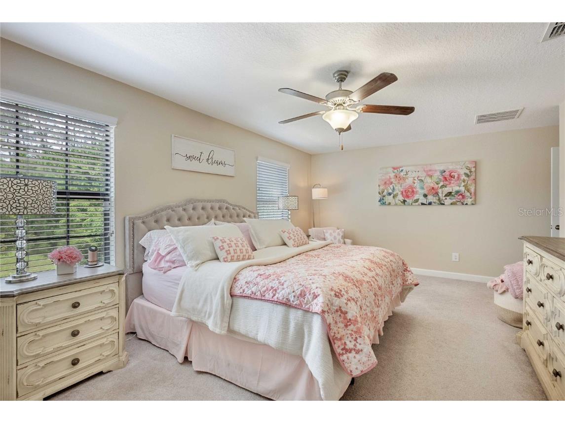 17365 Old Tobacco Road Lutz FL 33558 TB8412828 image24